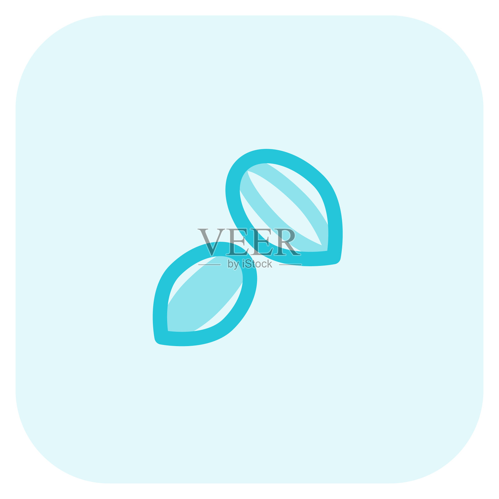 制作可可粉用的干燥发酵种子设计元素图片