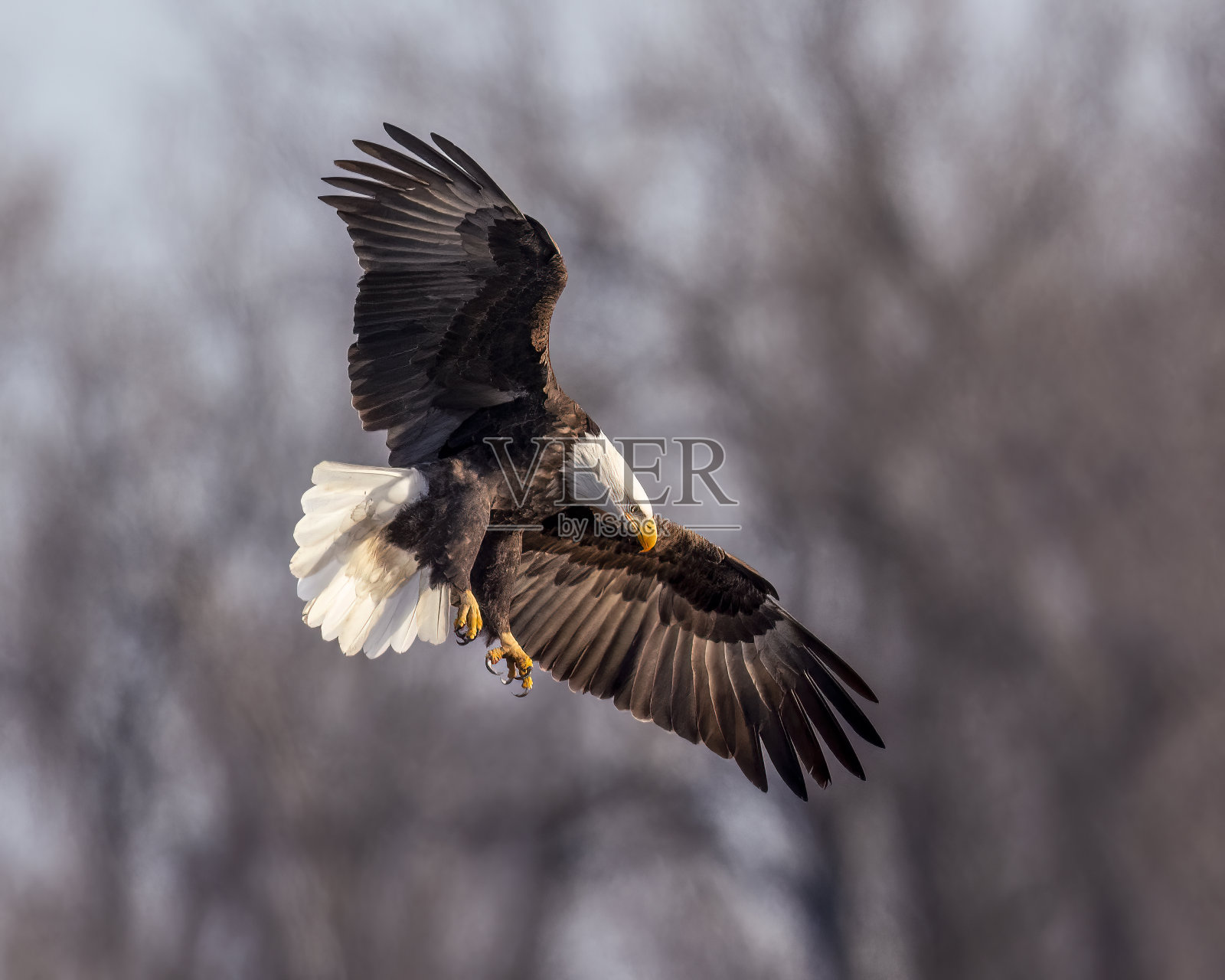 踩刹车!照片摄影图片