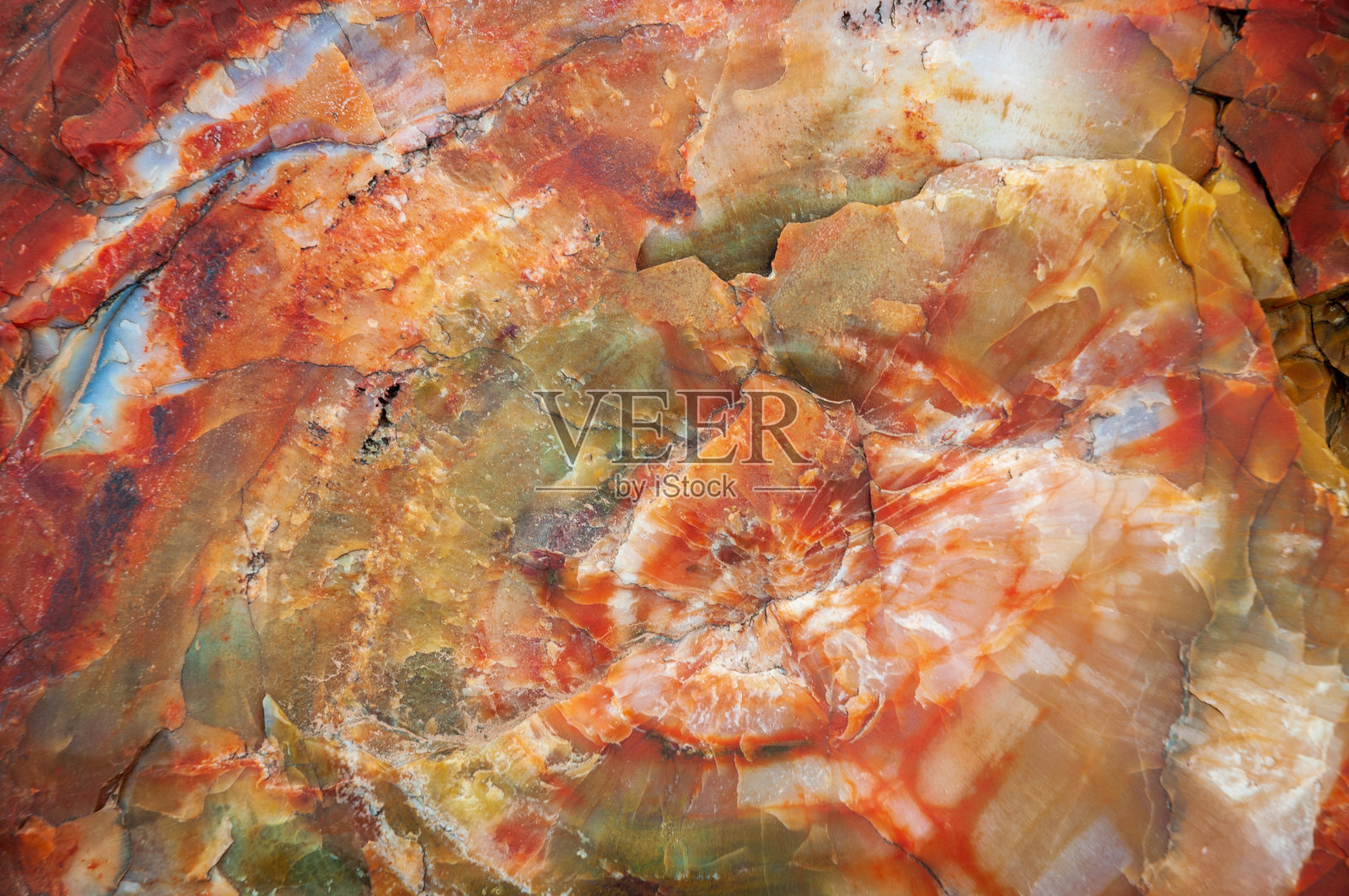 石化森林国家公园的水晶般的原木照片摄影图片