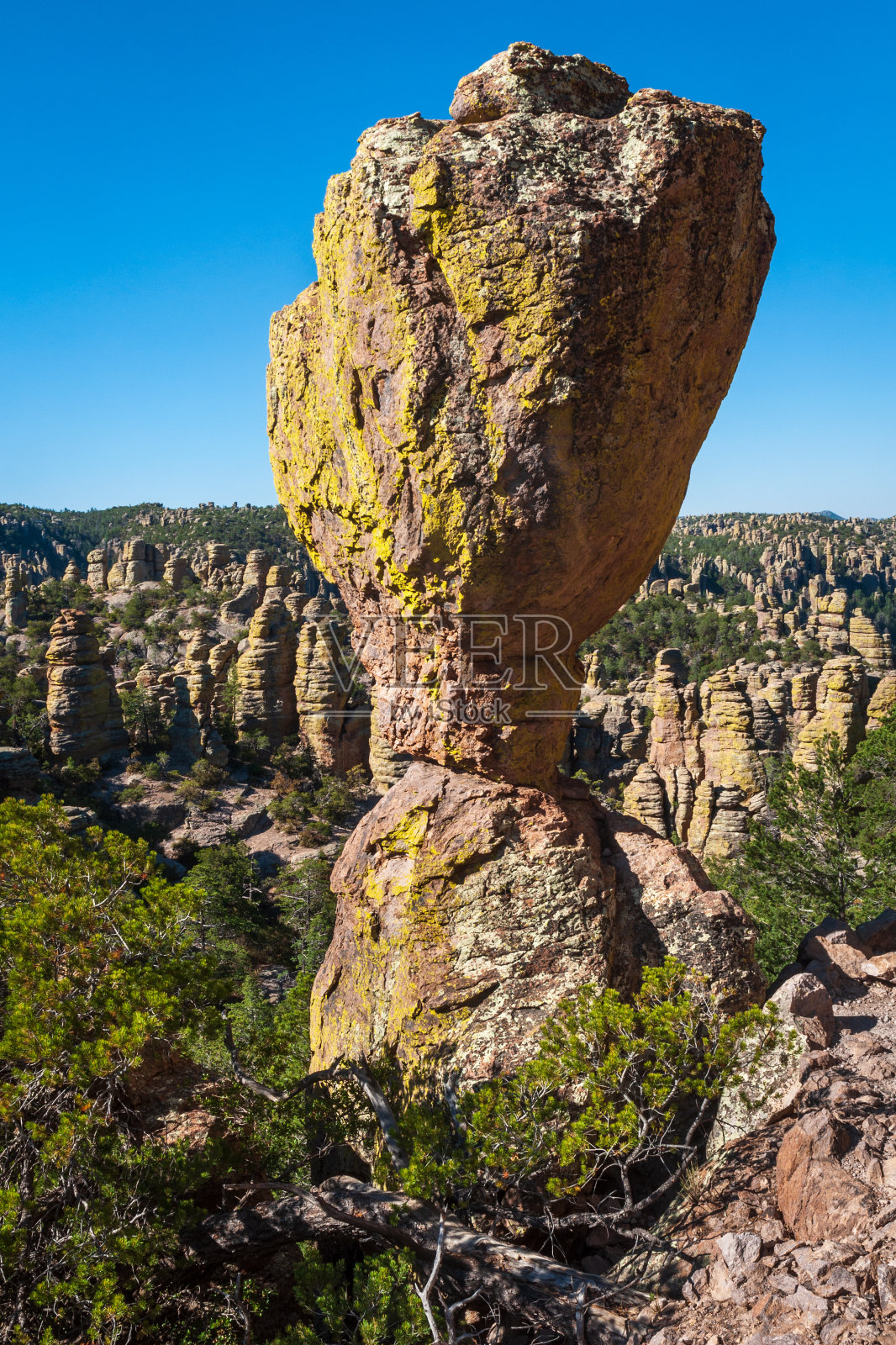 奇里卡瓦国家纪念碑的高柱照片摄影图片