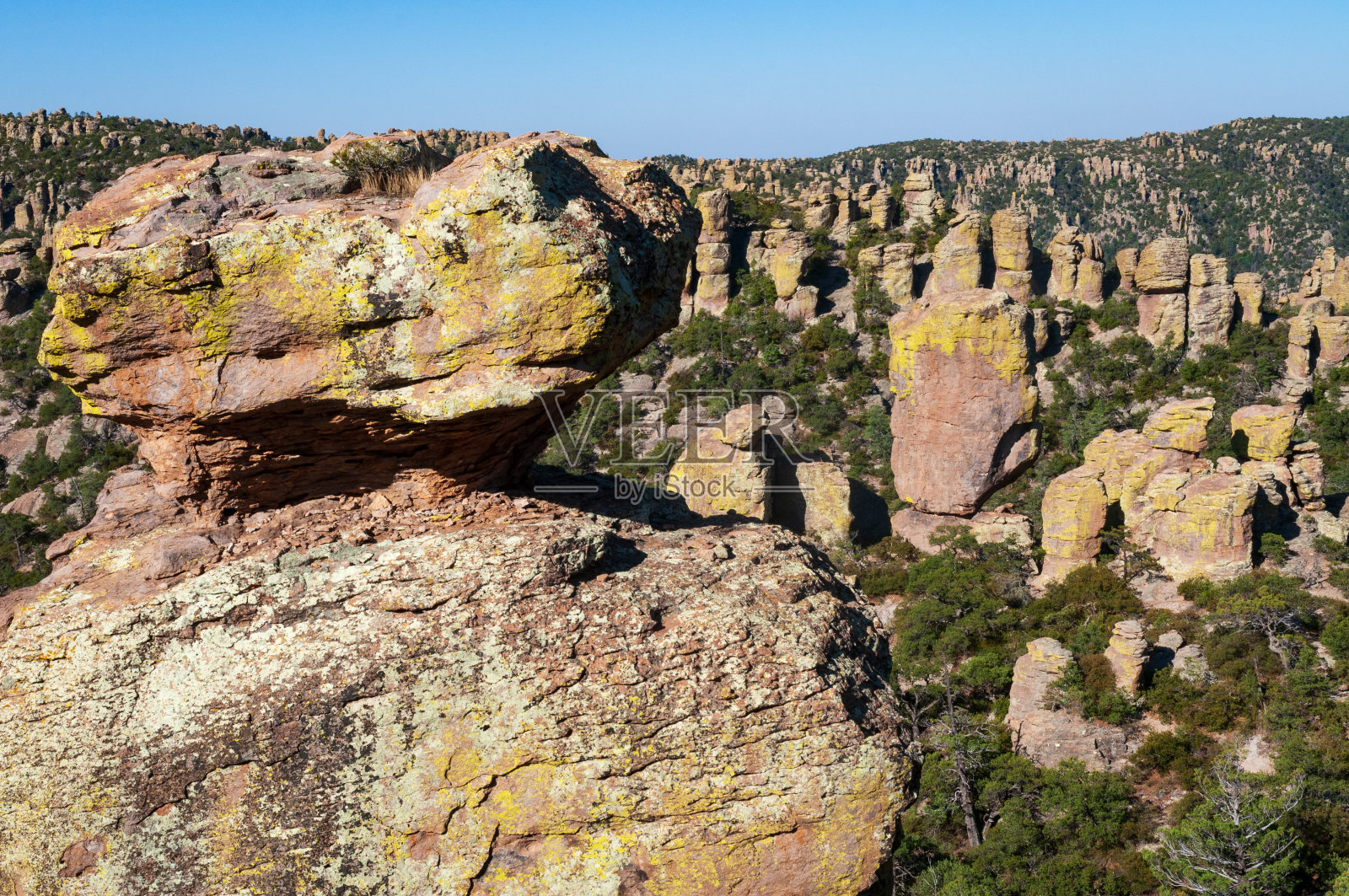 奇里卡瓦国家纪念碑的平衡岩石和森林照片摄影图片