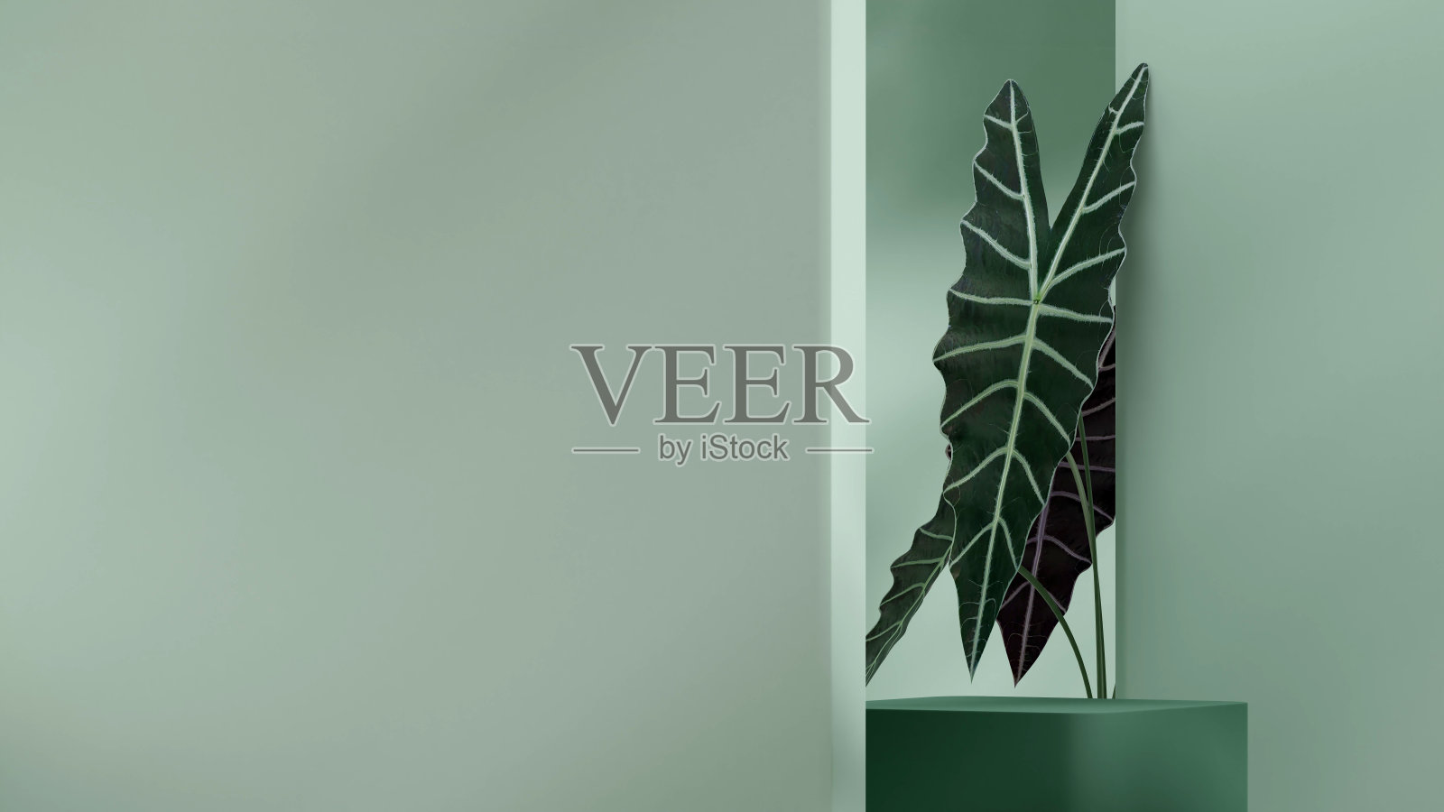 模型场景的绿色矩形裙房景观与洋槐房子植物3D渲染照片摄影图片