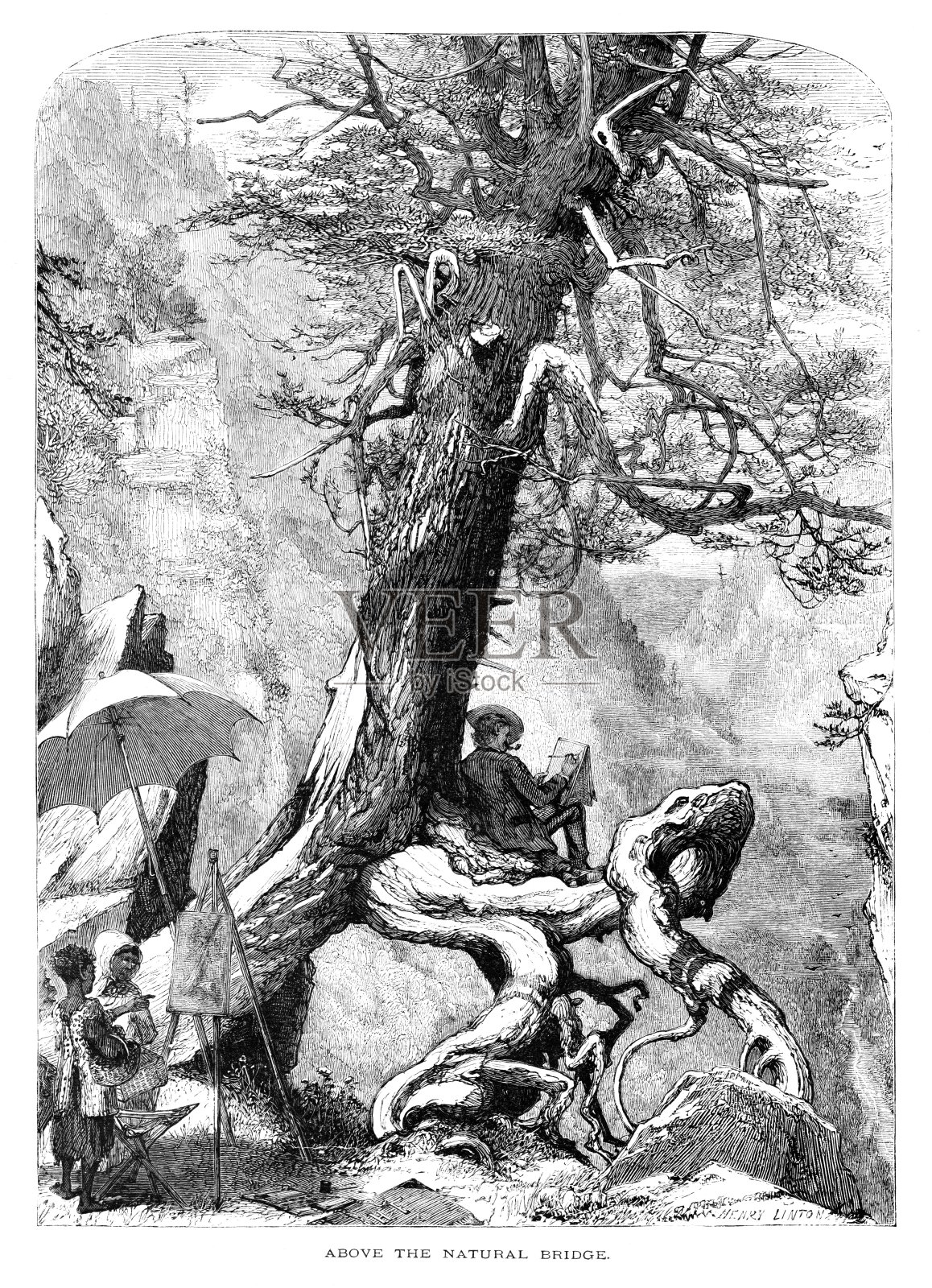 艺术家画的自然桥，弗吉尼亚，美国，地理插画图片素材