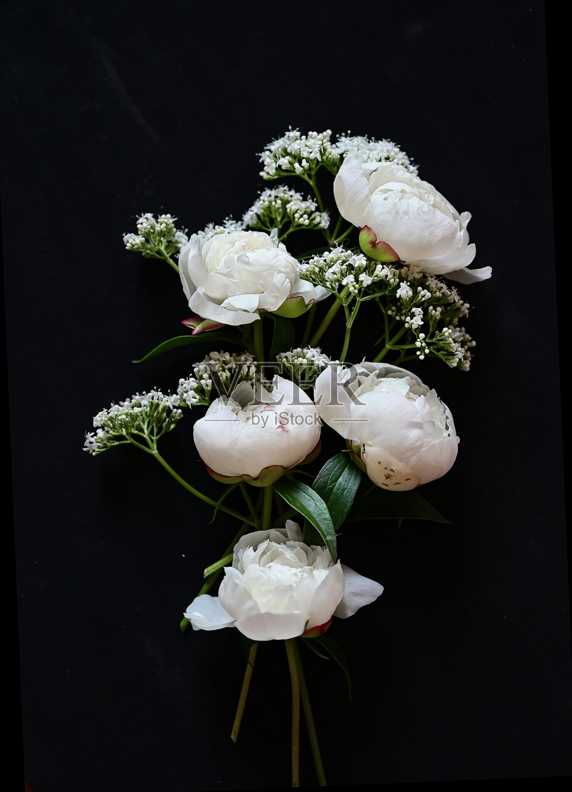 新鲜的白色牡丹在黑色的背景上。慰问卡。婚礼日期。度假的请柬祝贺。空白的文本空间。从上面看。他平躺着。照片摄影图片