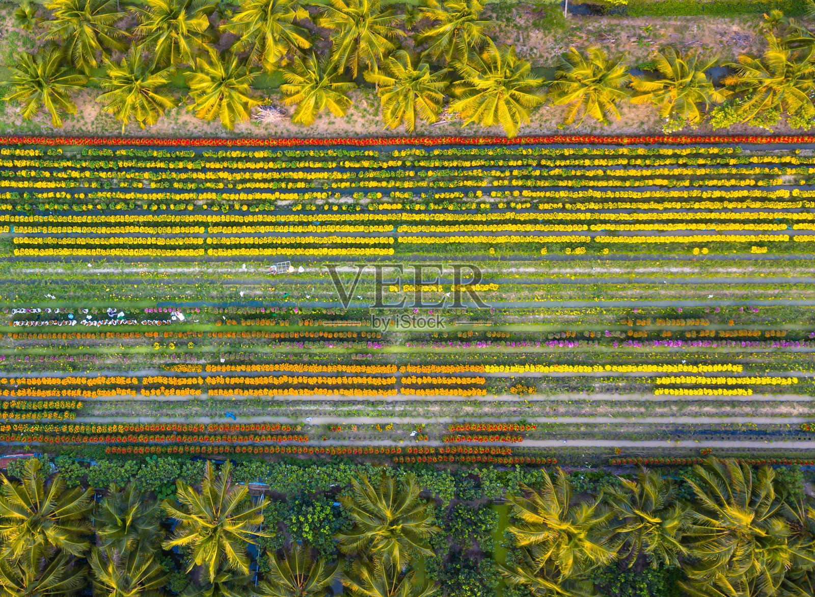 天江省花村鸟瞰图照片摄影图片
