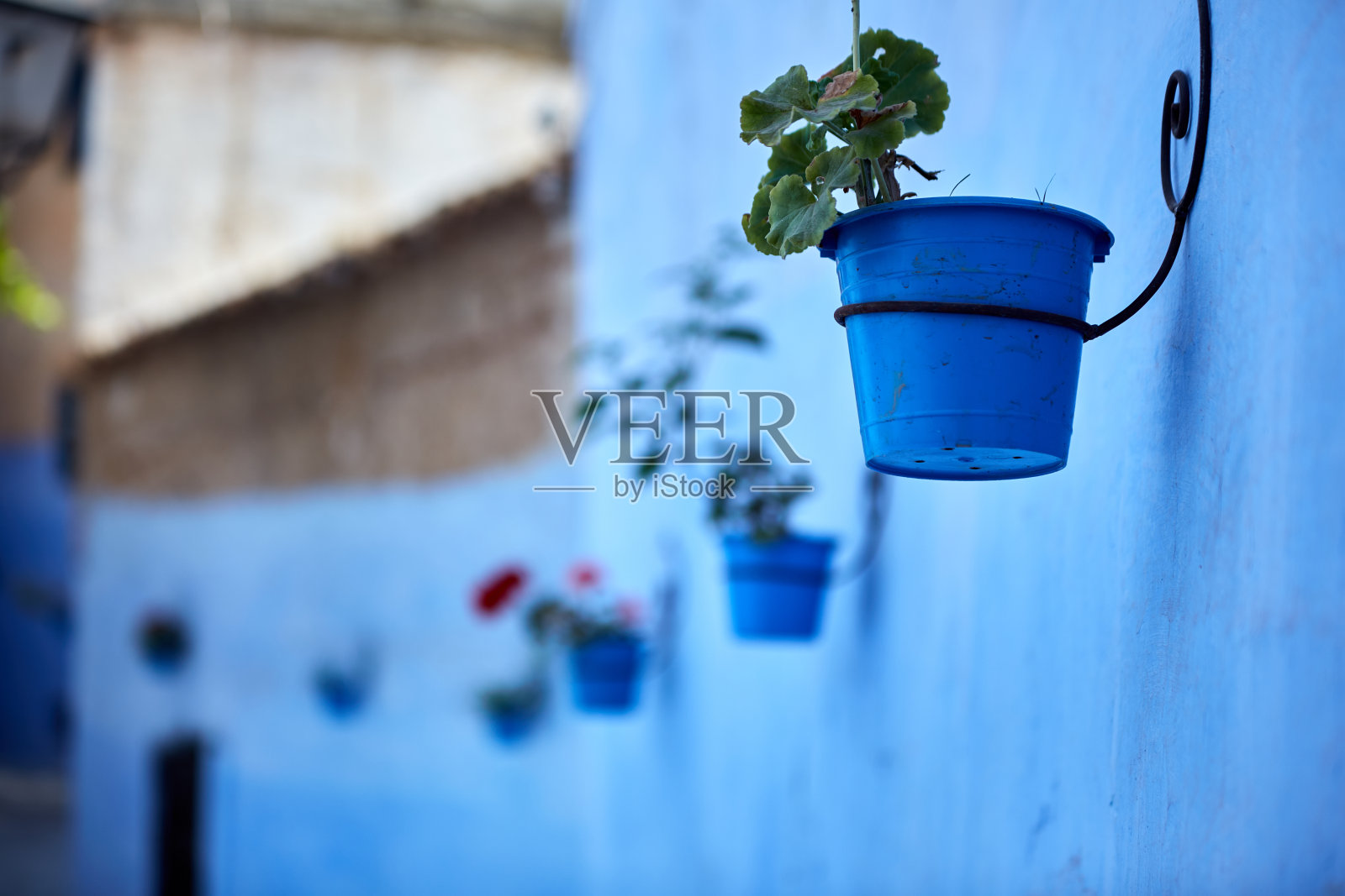 墙上的巷子里有花照片摄影图片