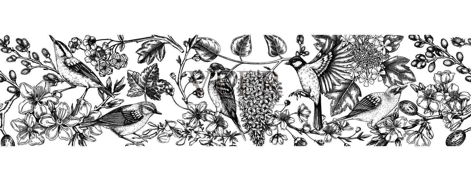 弹簧无缝带插画图片素材