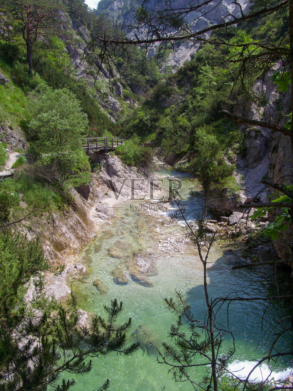 奥地利大峡谷Oetschergraben峡谷照片摄影图片