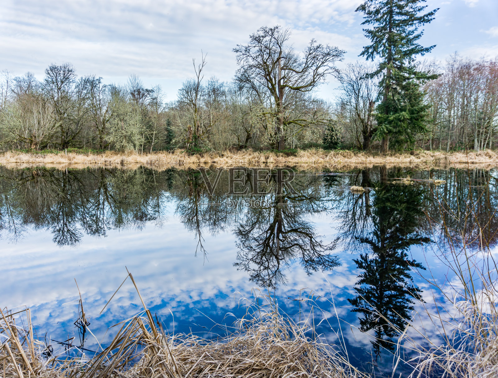 湖泊湿地反思3照片摄影图片