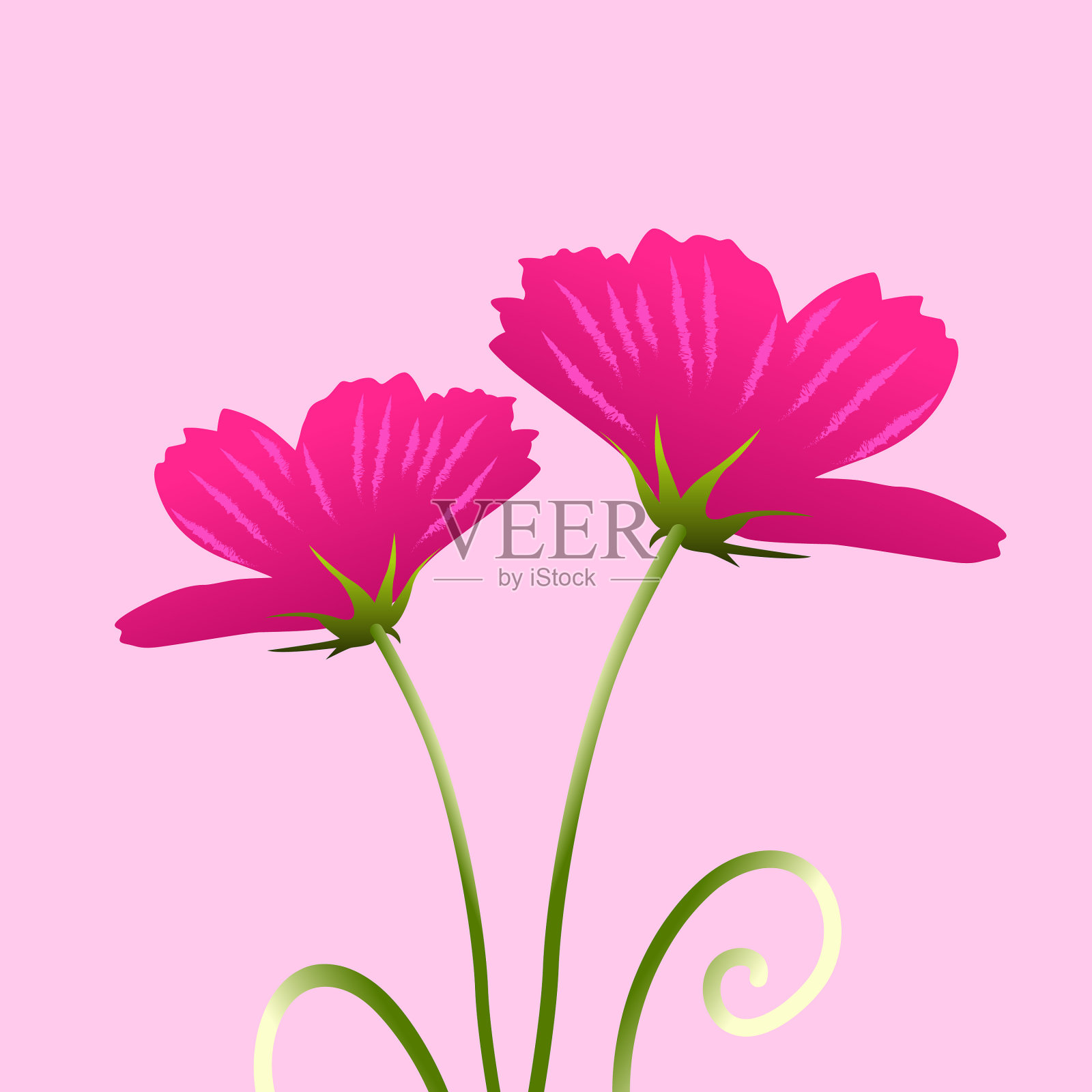 你好春天矢量插图与手绘字母，花，和其他元素。插画图片素材