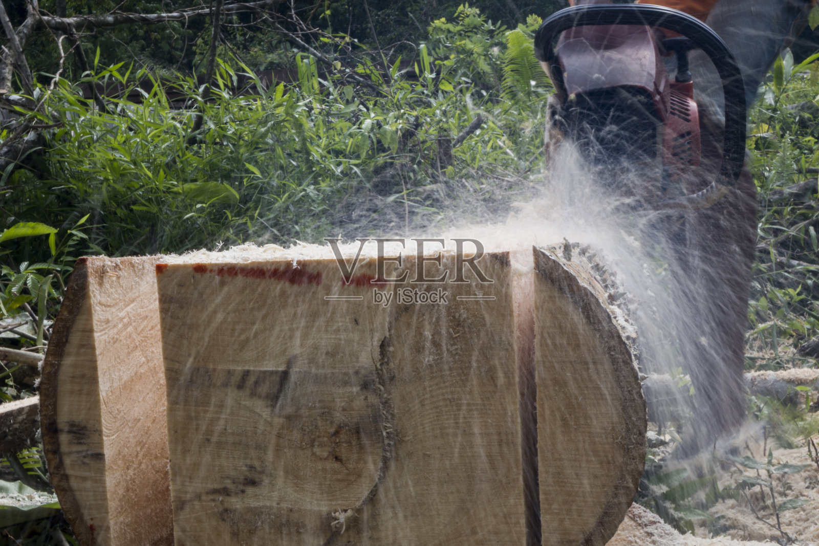 年轻人劈开木材与电锯机-库存照片照片摄影图片
