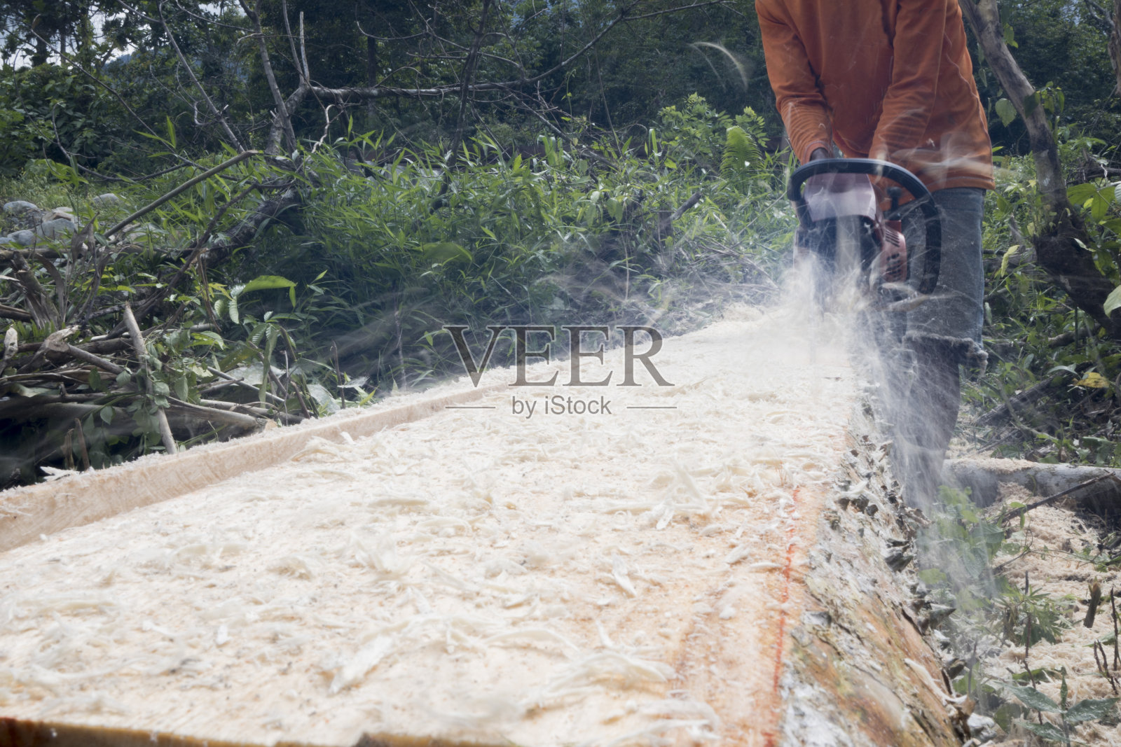 年轻人劈开木材与电锯机-库存照片照片摄影图片