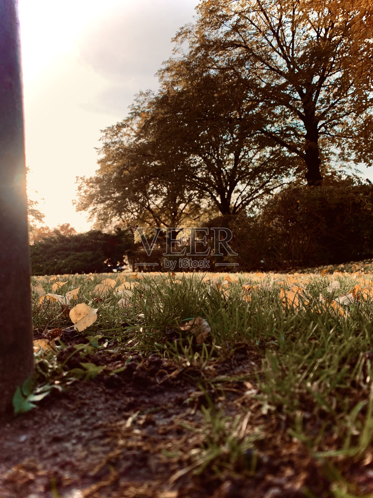 仲秋和秋天照片摄影图片