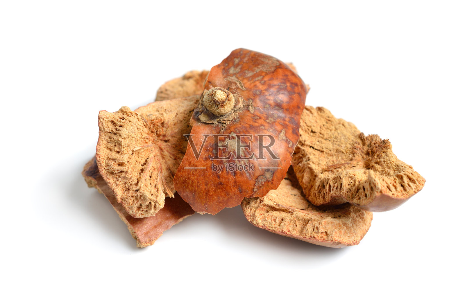 海苍兰、豆棕或姜饼树的干皮也可用于豆棕。孤立的照片摄影图片