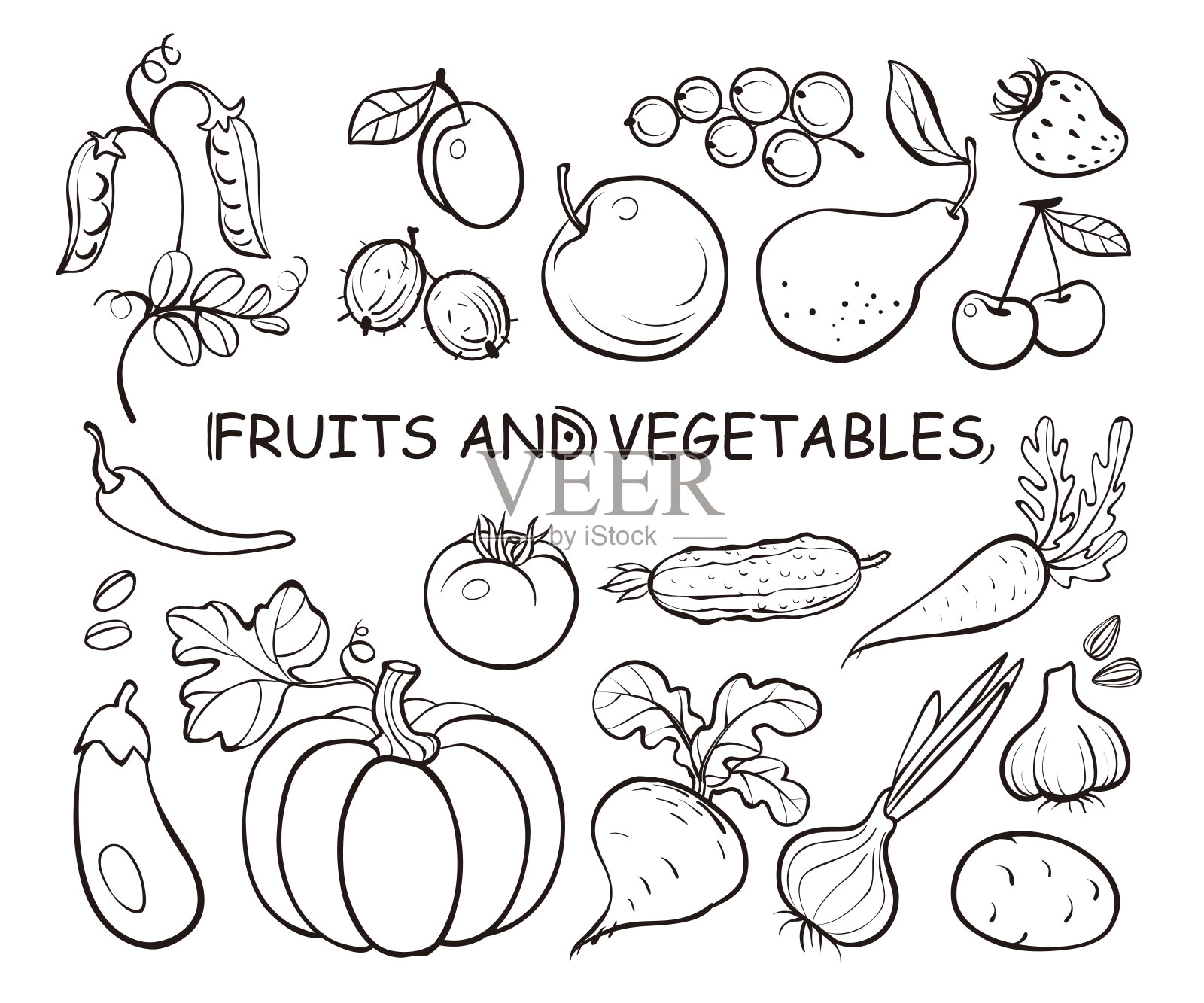 一套水果和蔬菜涂鸦，手绘图标插图在白色背景。旗帜传统的素描线条艺术风格。矢量隔离插图。插画图片素材