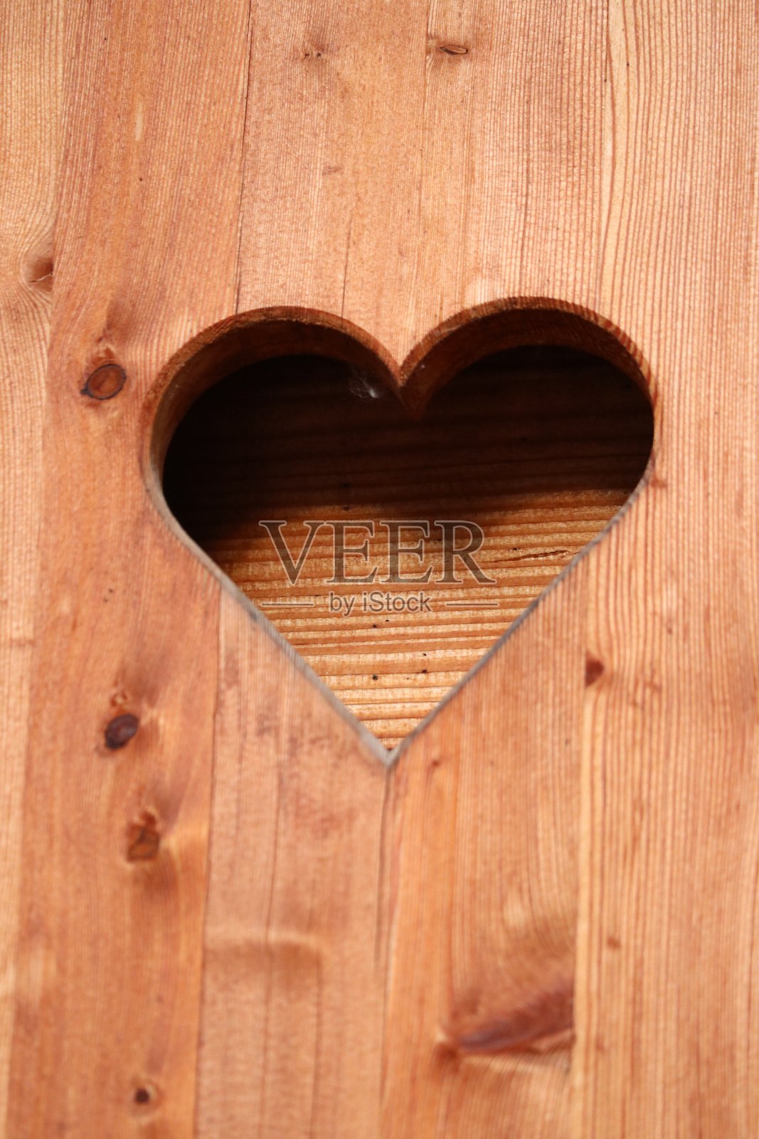 木心照片摄影图片