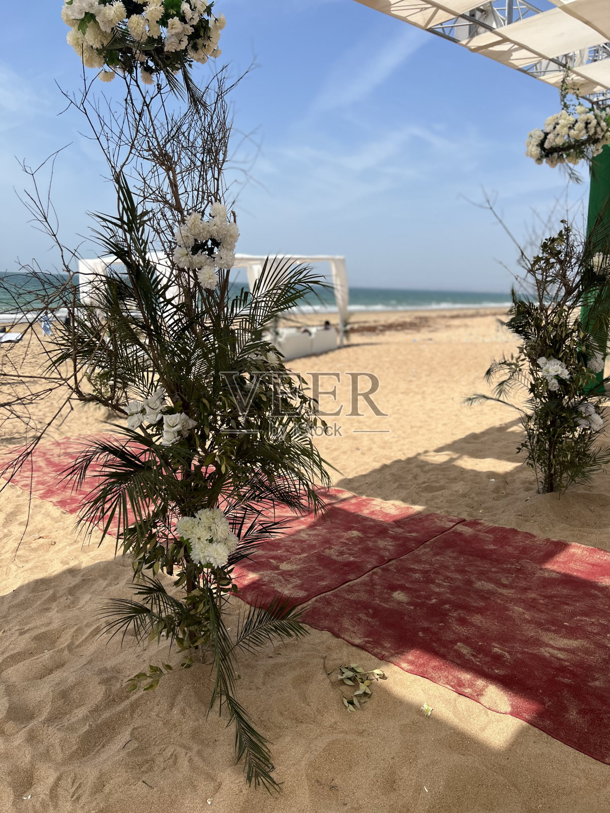 海上绿色照片摄影图片