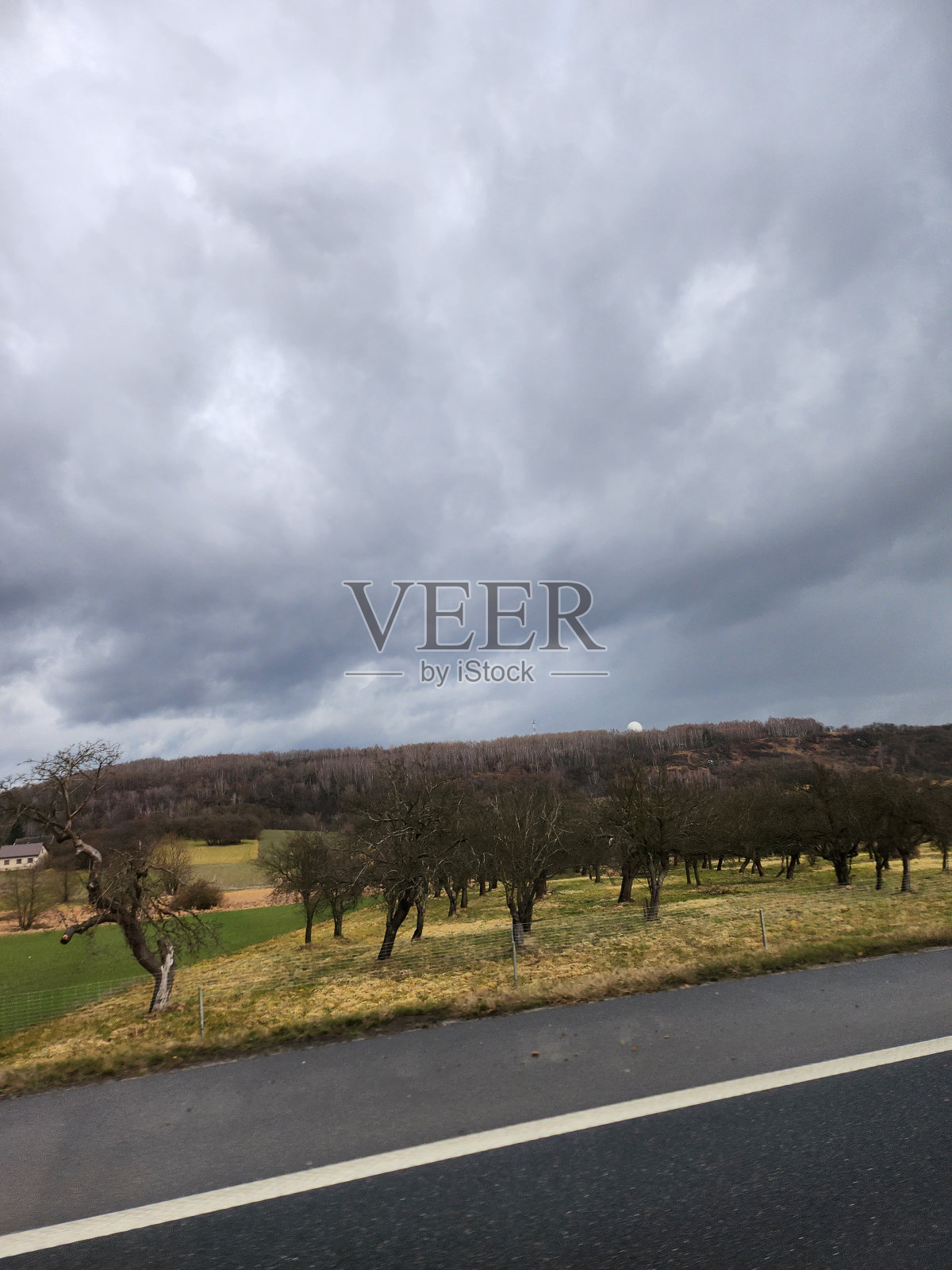 早春1照片摄影图片