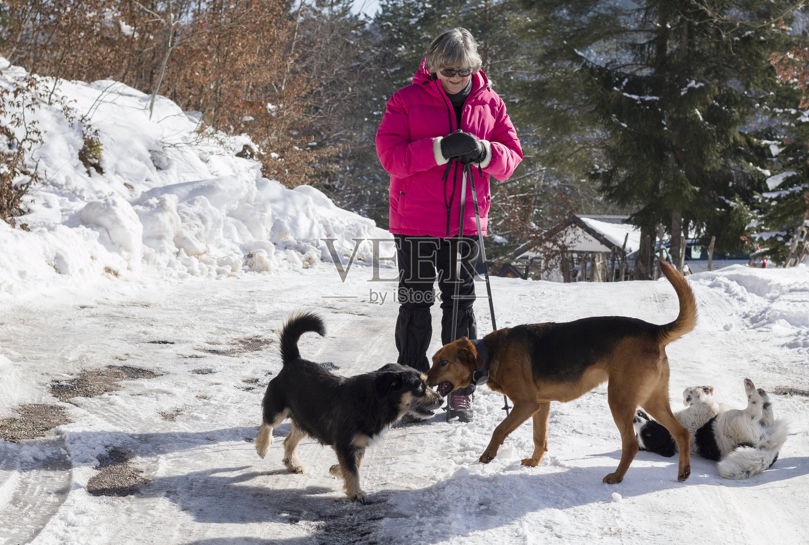 在山上享受阳光明媚的冬日。照片摄影图片