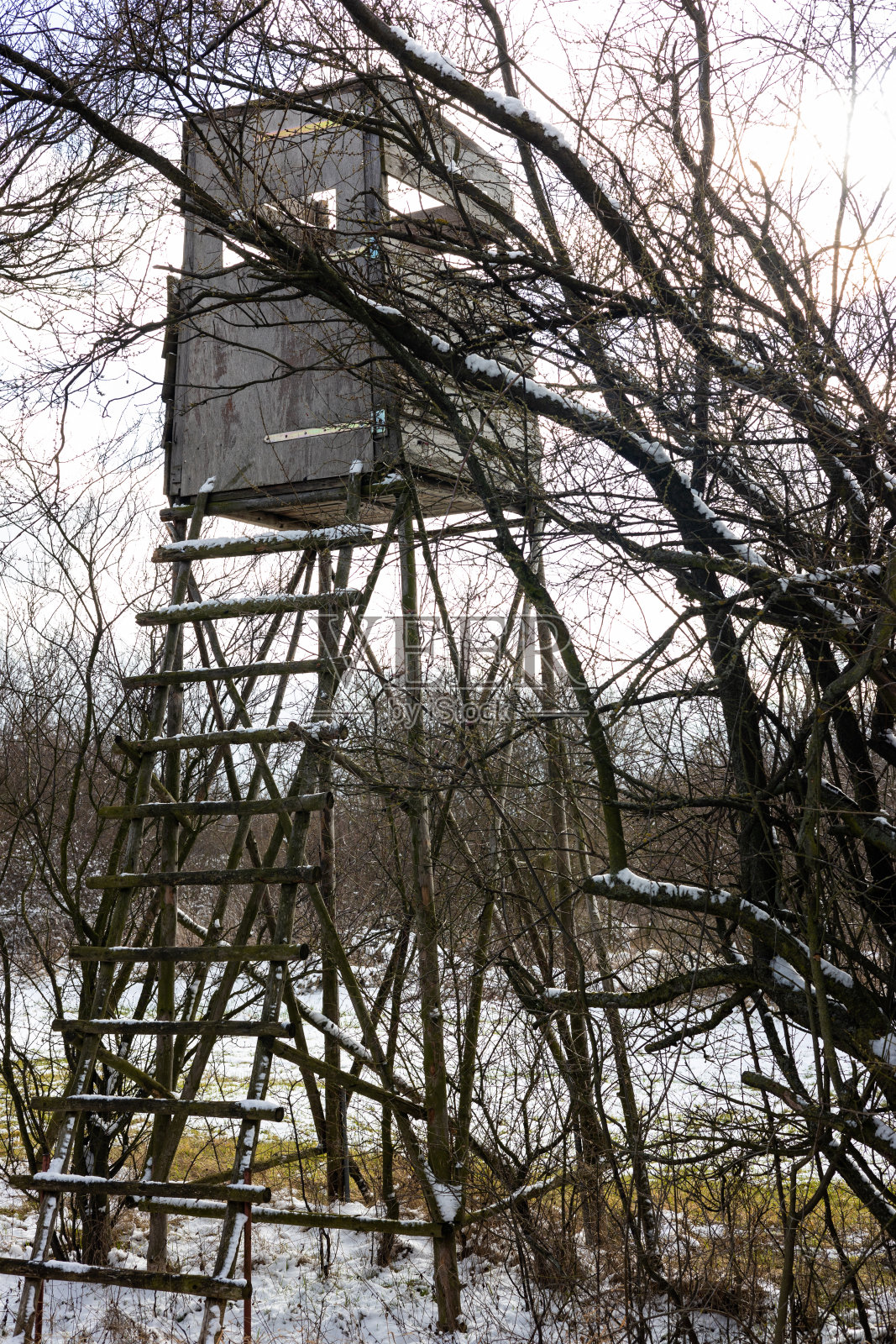 图林根州冬季狩猎用的木质凸起兽皮照片摄影图片