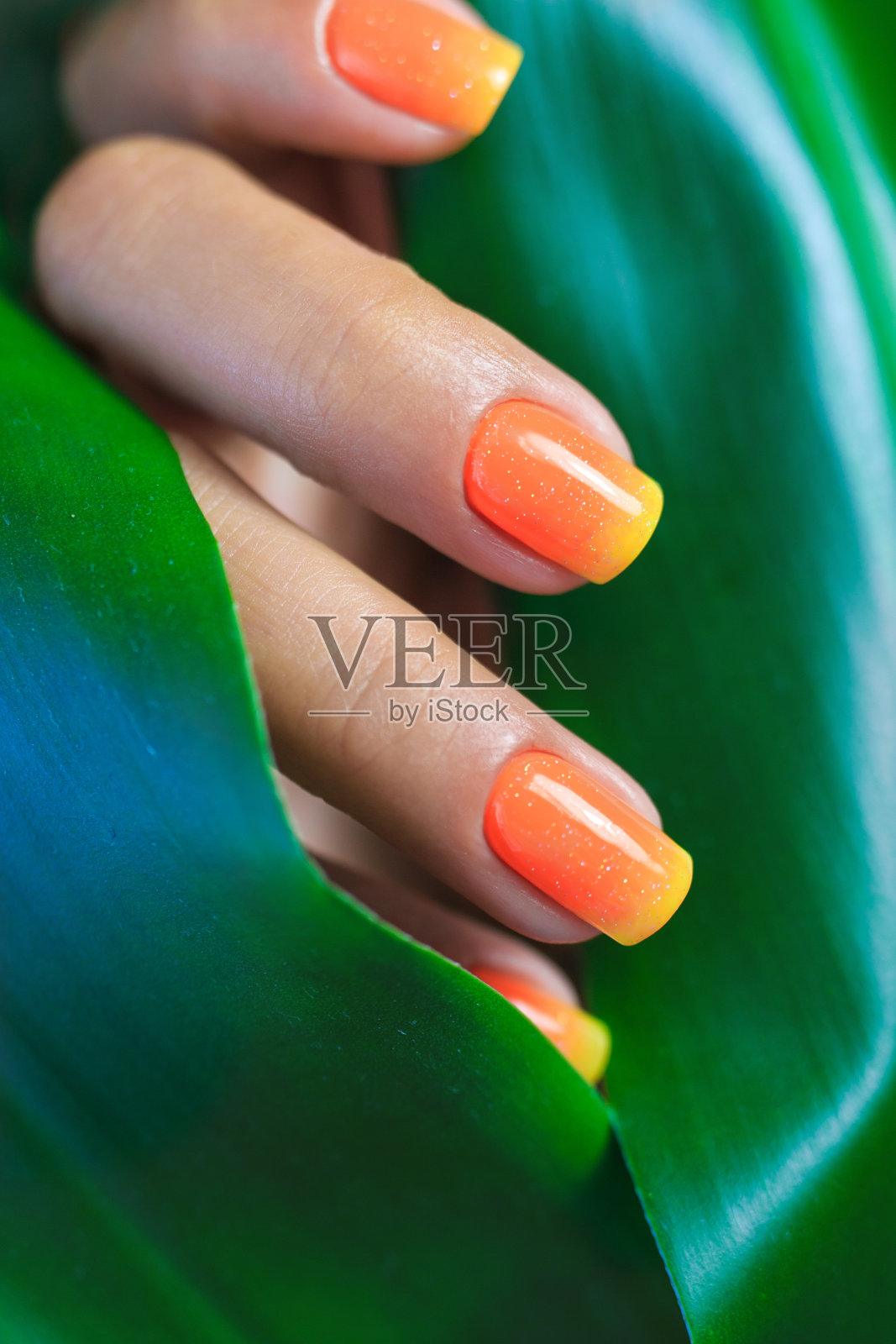 亮橙色指甲油。女性手握热带植物叶子。照片摄影图片