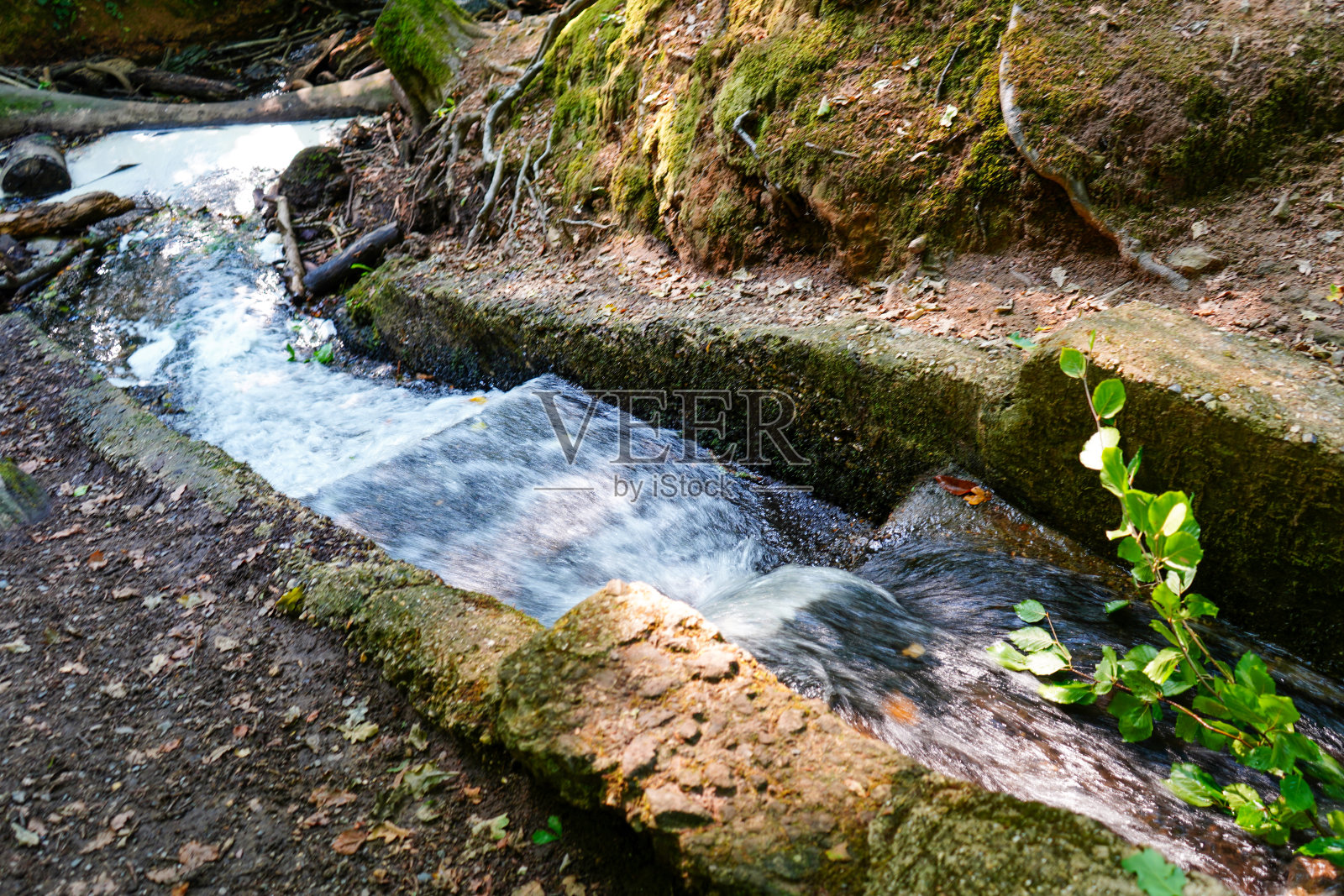池塘里溢出的水照片摄影图片