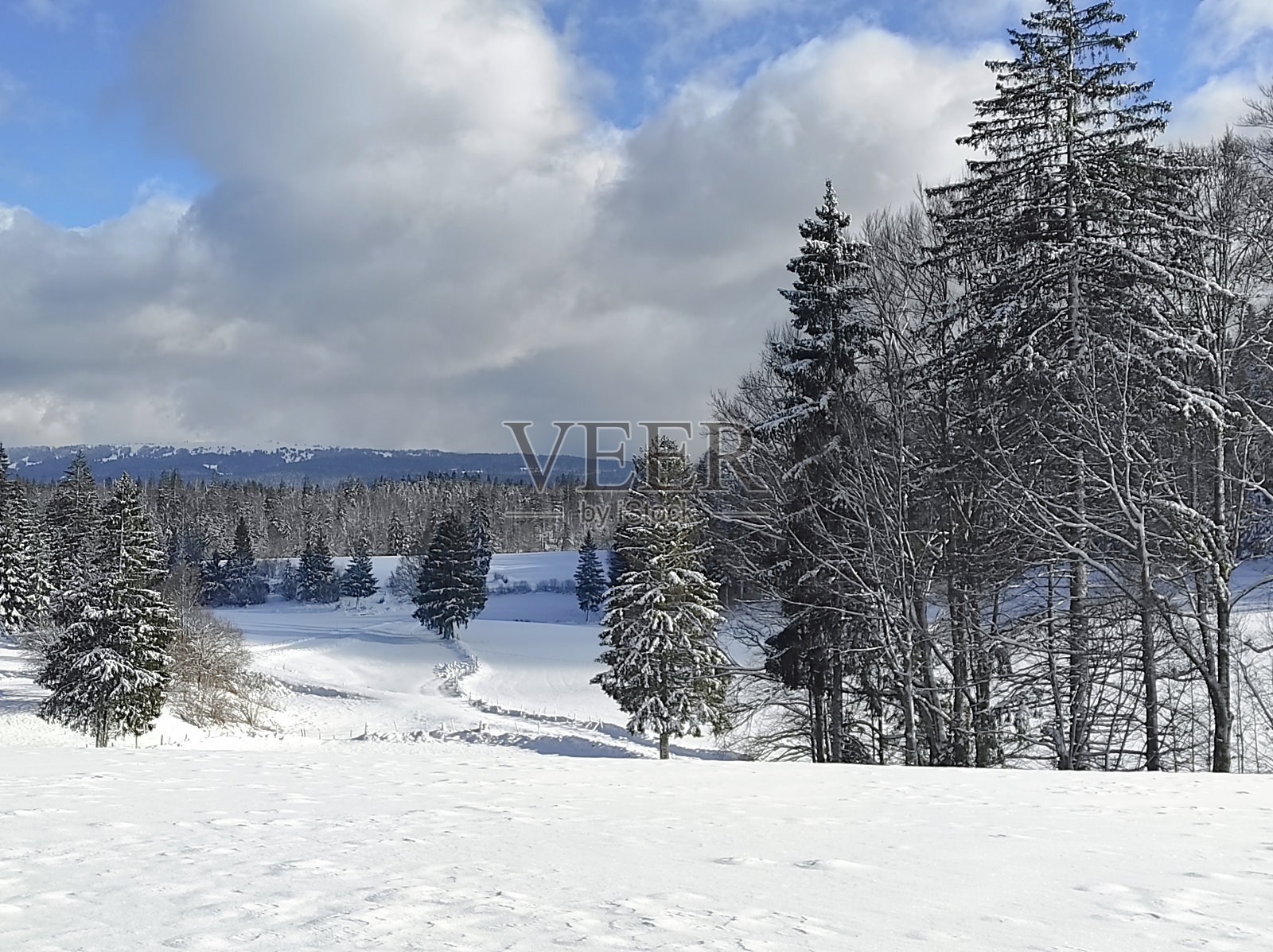 雪景，上杜布，法国照片摄影图片