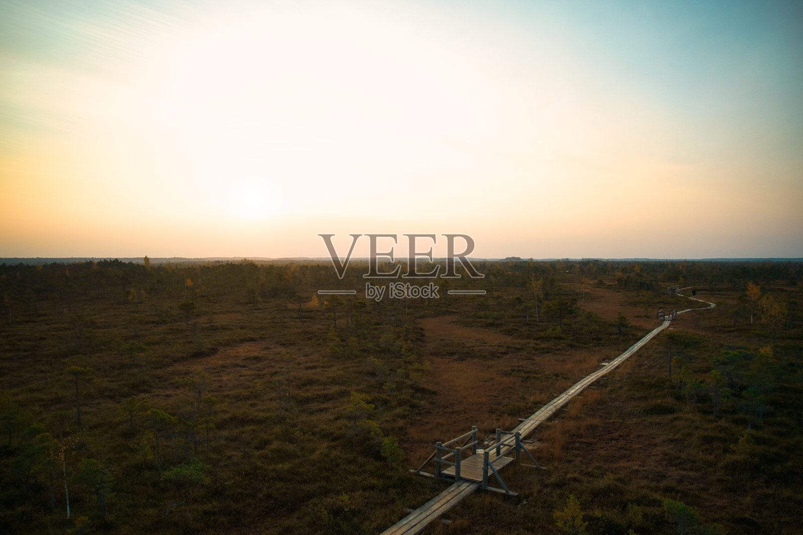 无人机拍摄的沼泽有蜿蜒的溪流，高大的芦苇和草，以及绿色和棕色的湿地照片摄影图片