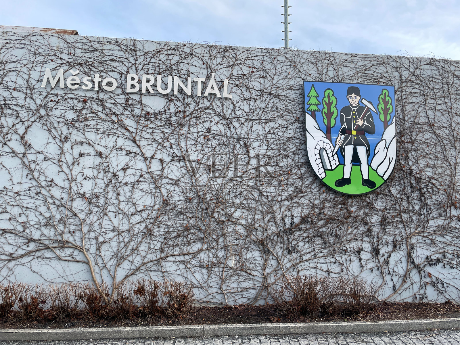 布伦塔尔城的纹章挂在满是干枯藤蔓的墙上。照片摄影图片