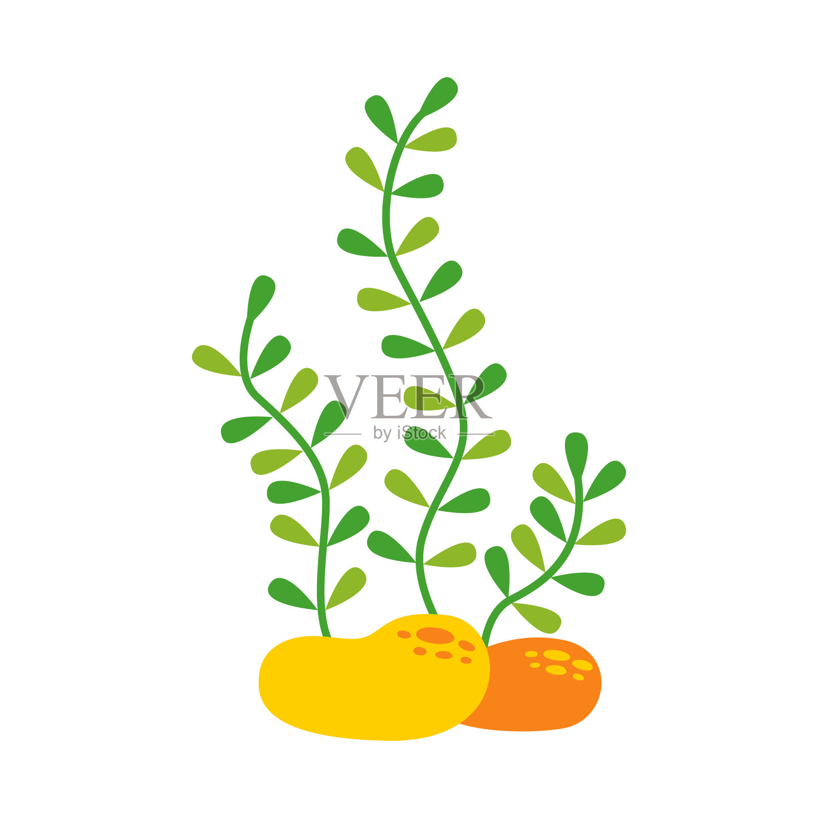 矢量插图卡通海藻孤立在白色背景。插画图片素材