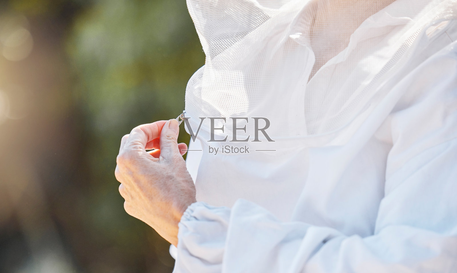 手，拉链和养蜂人制服与农村妇女户外有机可持续发展。农业，农民和养蜂人，一名女性农业工人为了安全拉上拉链照片摄影图片