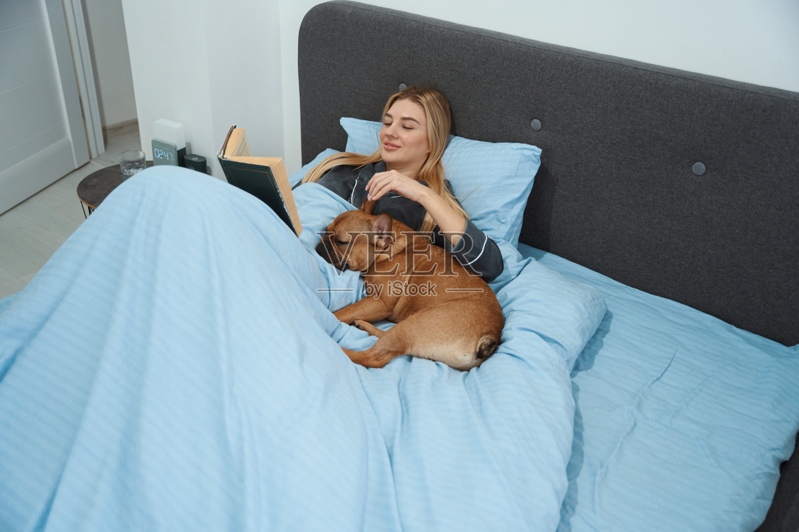 快乐的女人，卧室里有书和法国斗牛犬照片摄影图片