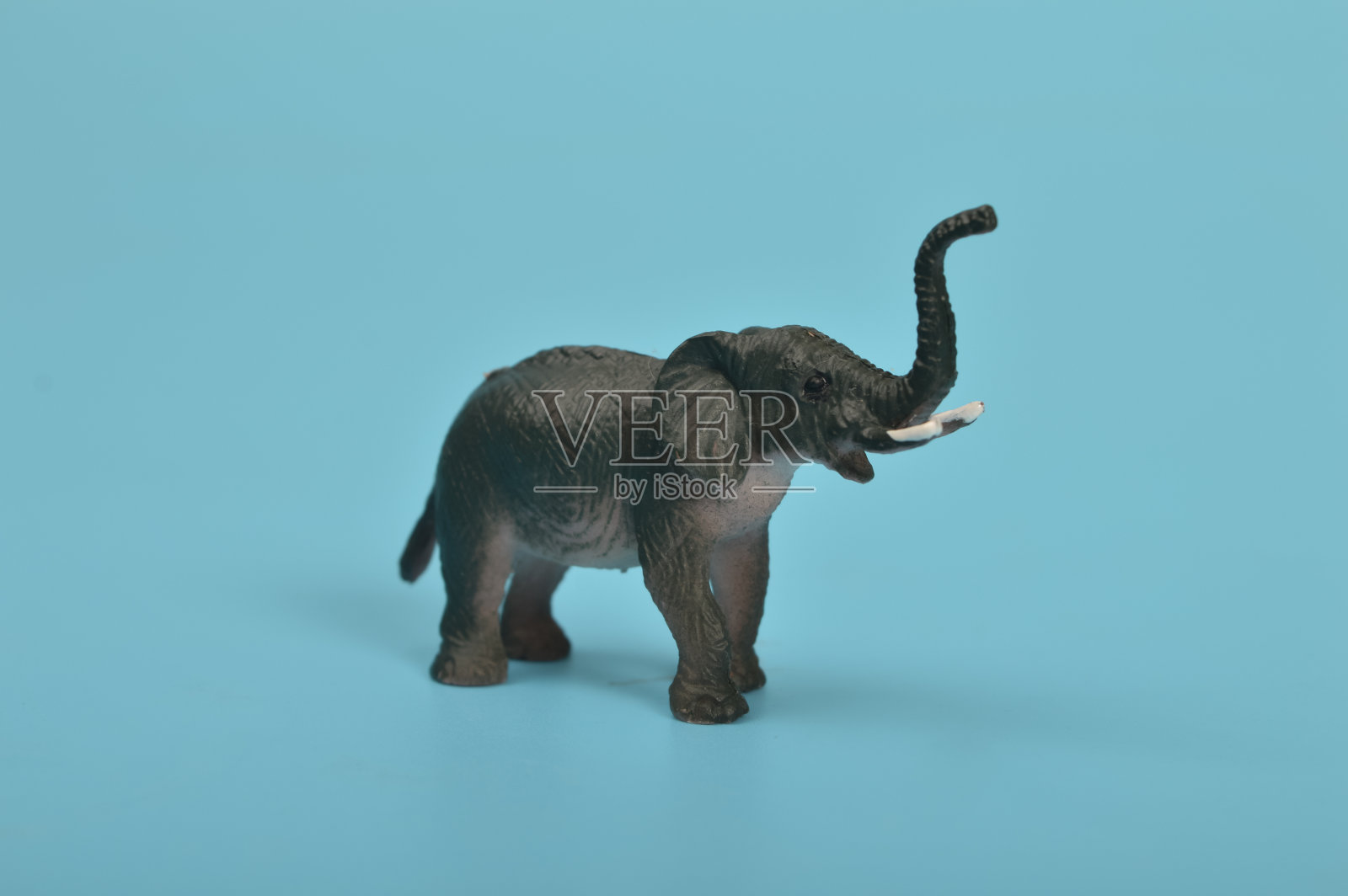 黑色玩具大象孤立的蓝色背景照片摄影图片