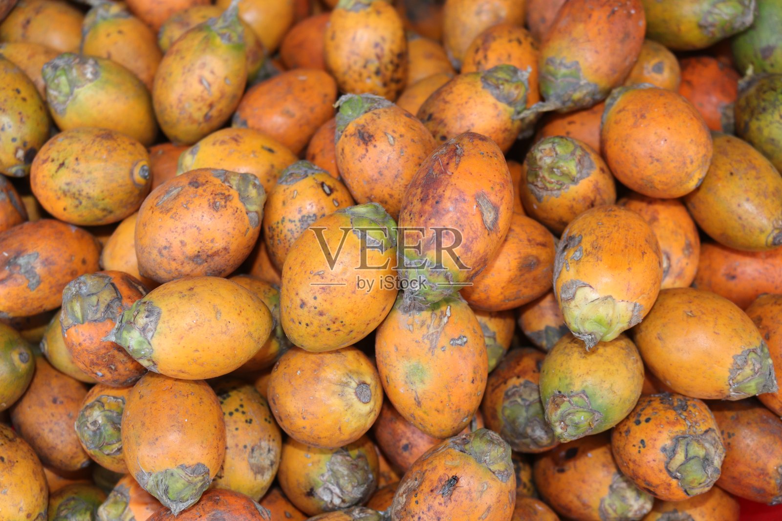 新鲜槟榔果，新鲜黄槟榔果照片摄影图片