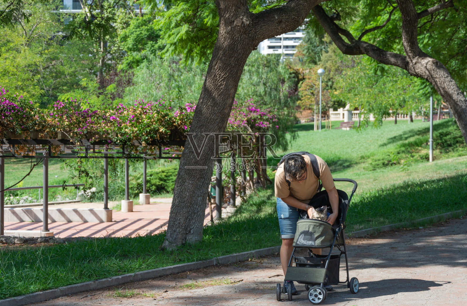 在一个阳光明媚的日子里，一个西班牙裔年轻人推着婴儿车在公园里散步照片摄影图片
