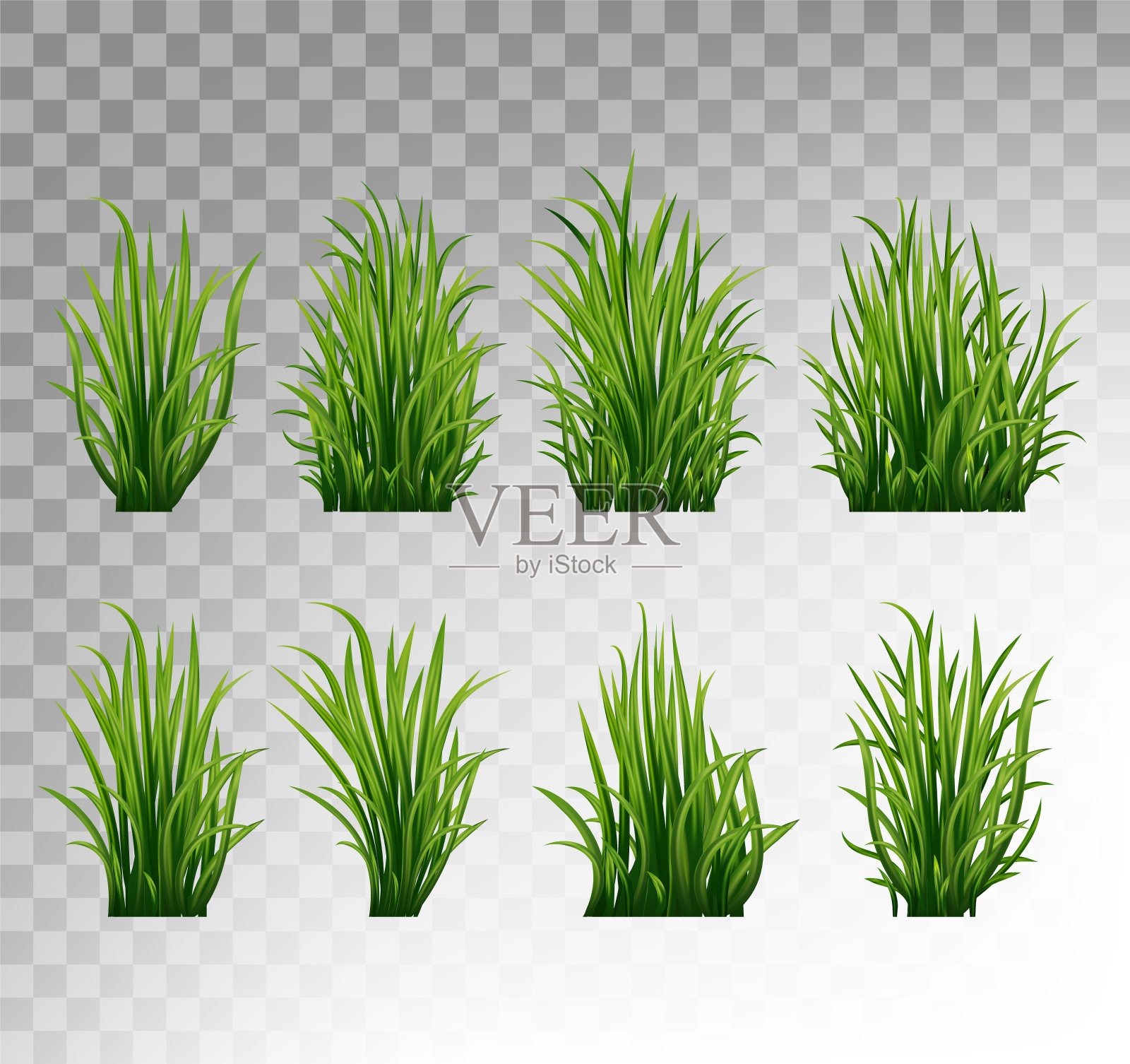 绿草照片摄影图片