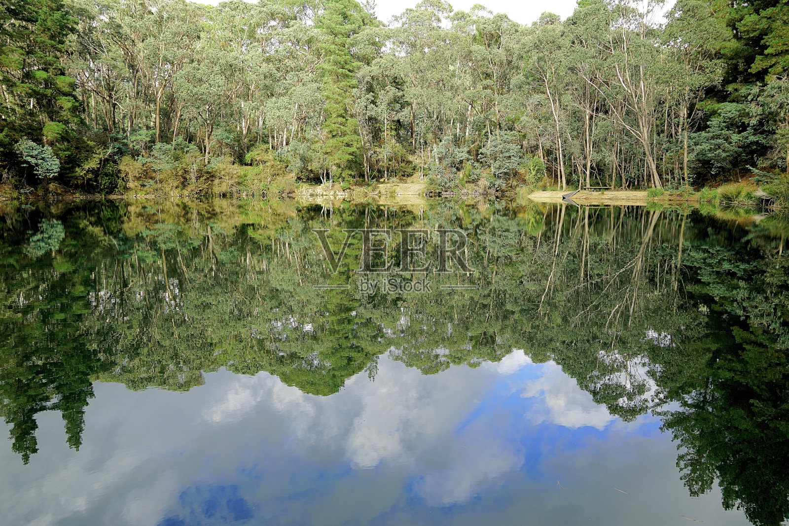 哈里特维尔，维多利亚，澳大利亚照片摄影图片