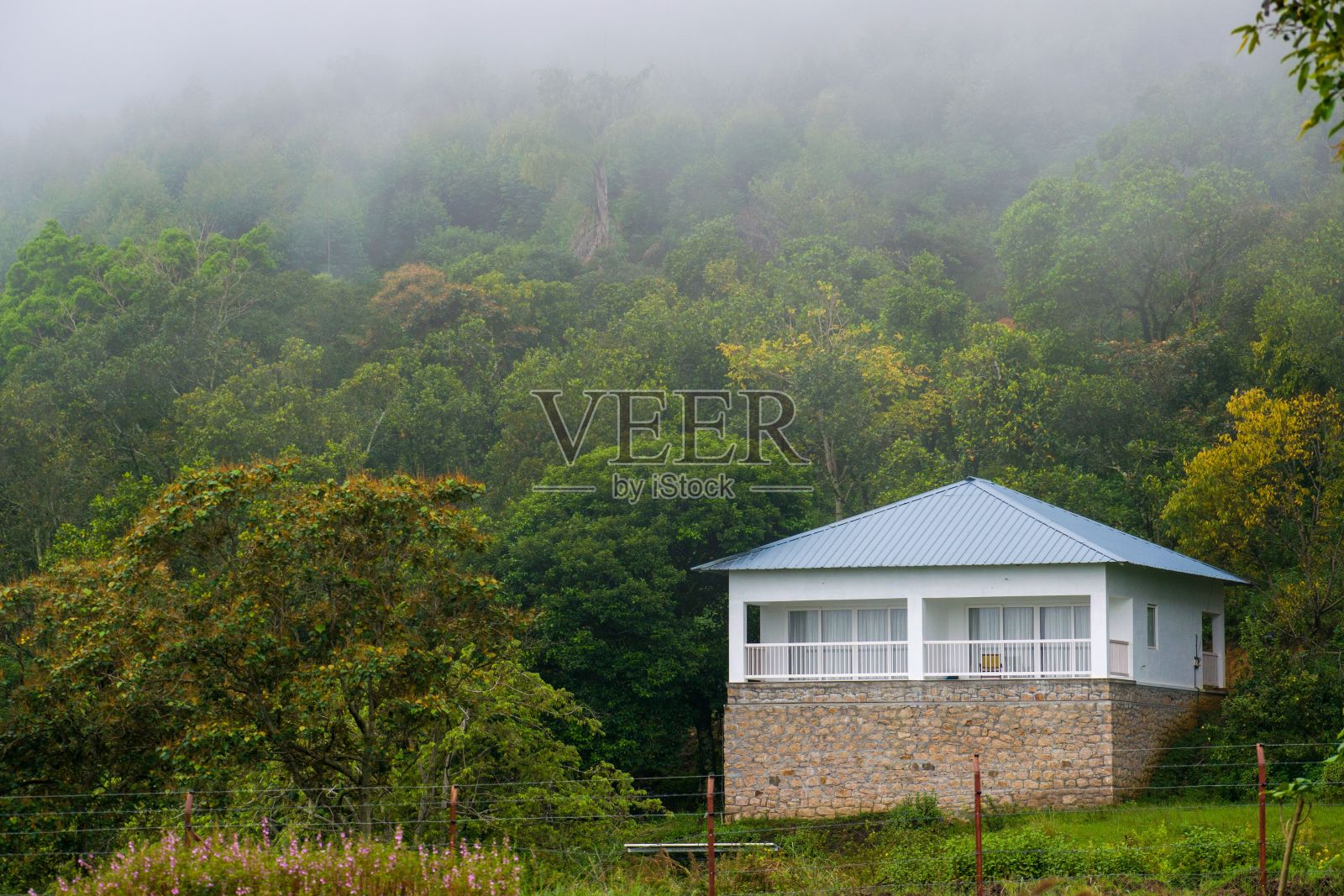 森林中的一座漂亮的房子照片摄影图片