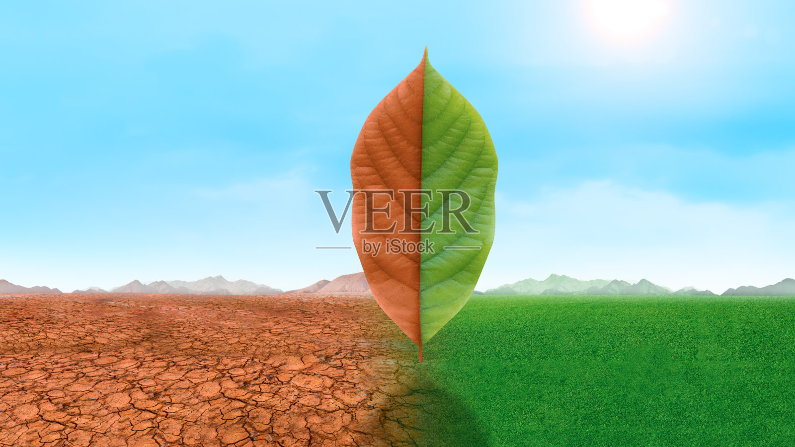 半活半死的树矗立在景观的区域，气候的概念发生了变化，全球变暖照片摄影图片