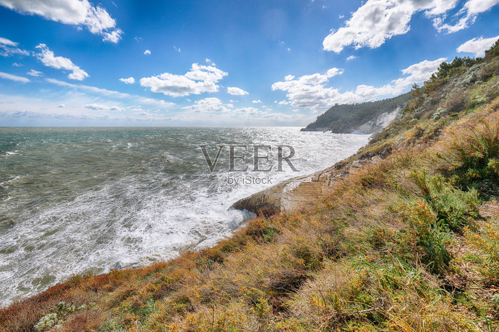 在维埃斯特海岸线的悬崖之上。加尔加诺半岛的夏季岩石海岸Baia Di Campi Vieste照片摄影图片