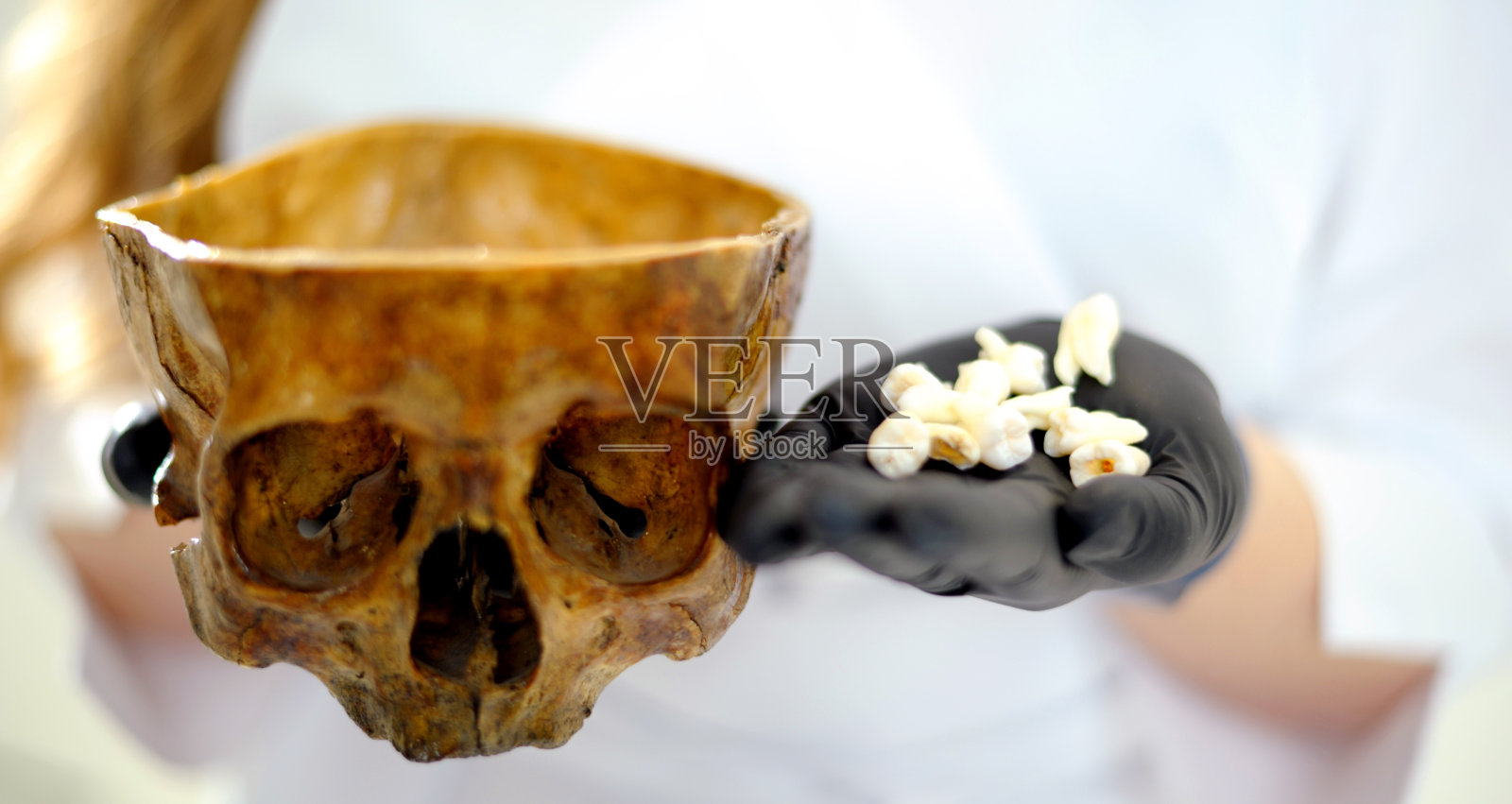 特写人类真实的头骨和牙齿臼齿智齿在手上戴着黑色手套的牙医面目全非的人地方为文字医学大学医学院培养未来的医生解剖学照片摄影图片