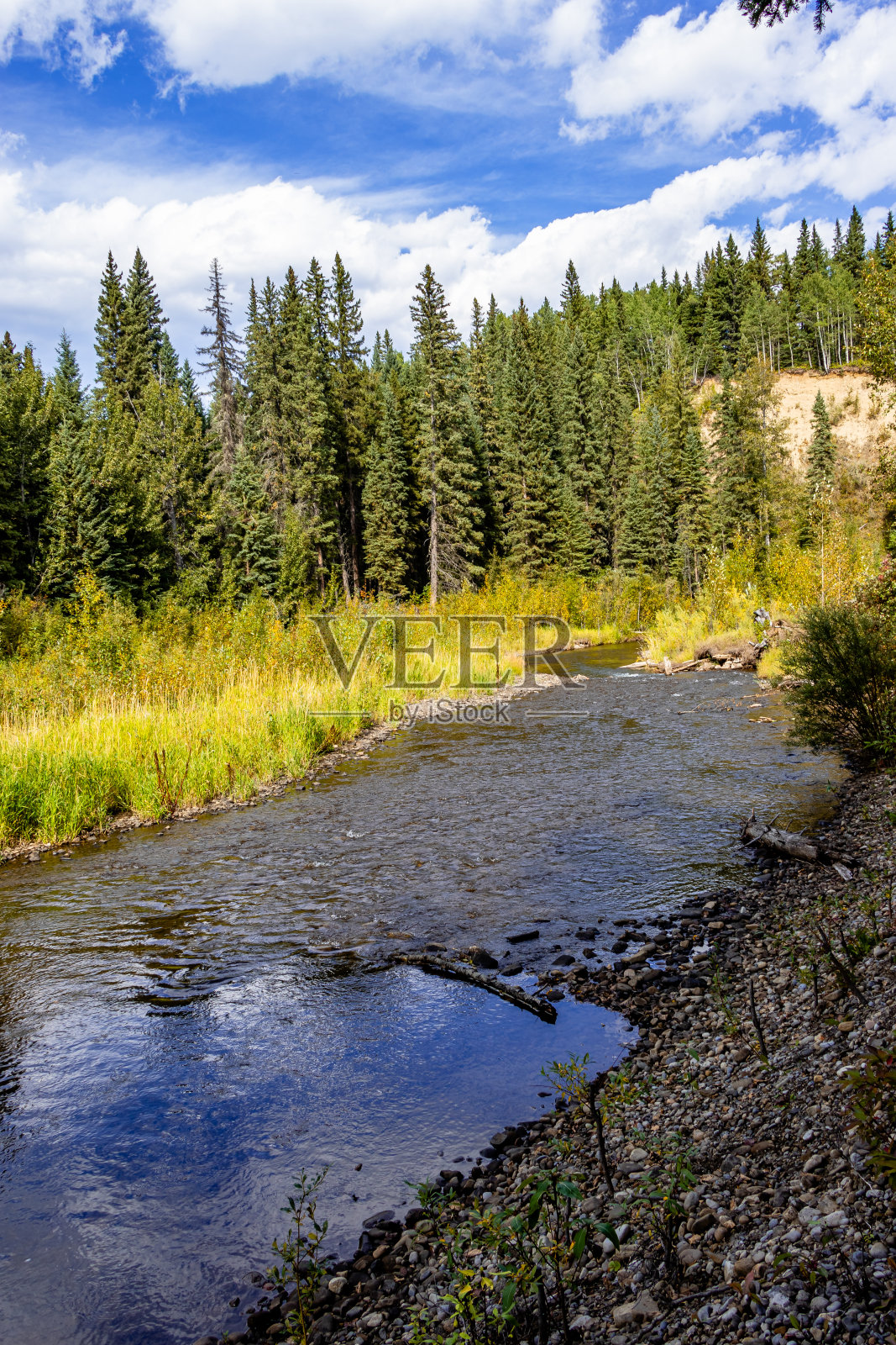 加拿大阿尔伯塔省泰河休闲区照片摄影图片