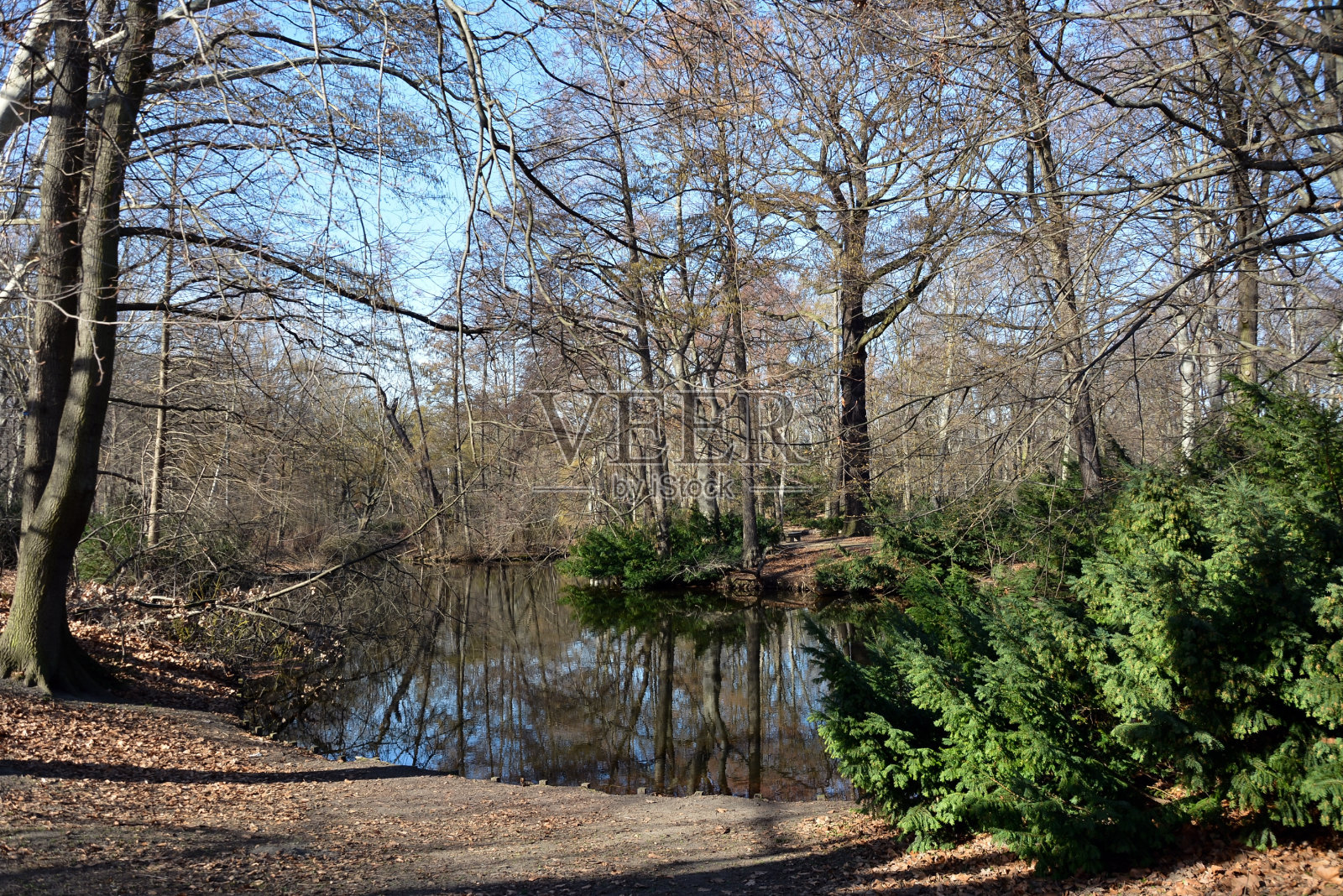 一条平静的河流流经一个美丽的春天公园，公园里有没有叶子的树照片摄影图片
