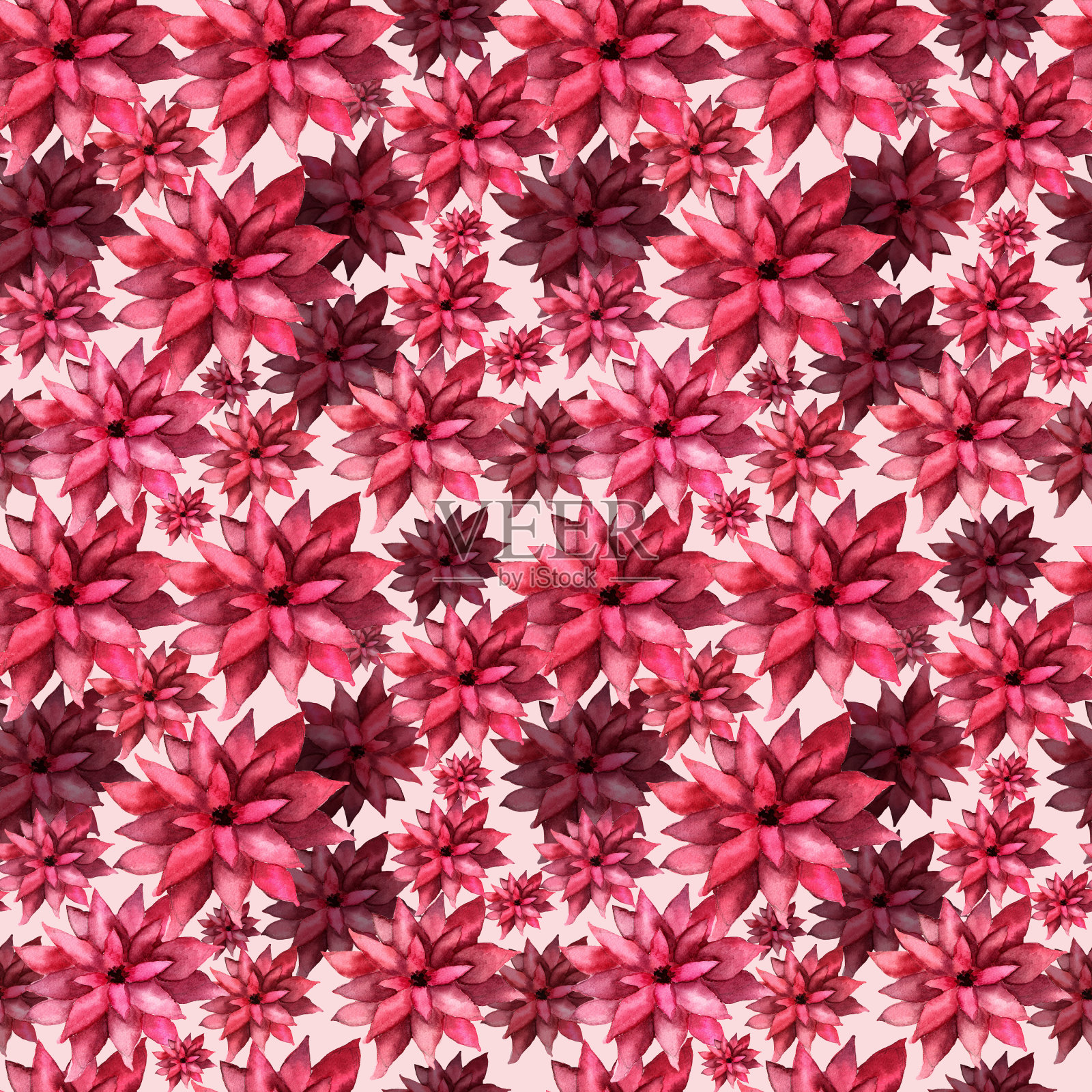 水彩无缝图案与明亮的花朵。酒红色，红色，粉红色的花。在彩通颜色洋红色万岁。手绘插图。插画图片素材