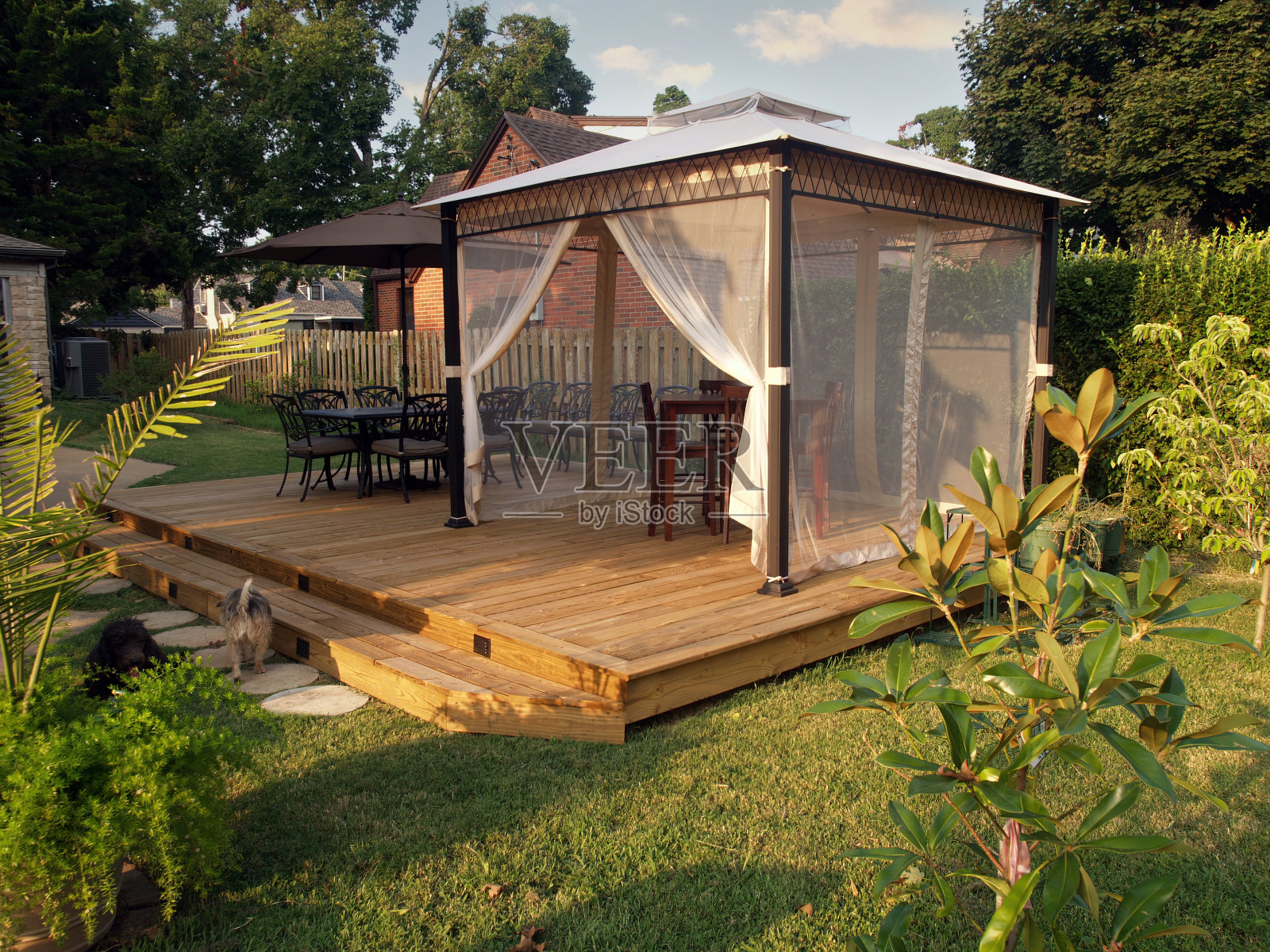 后院小屋和甲板花园照片摄影图片