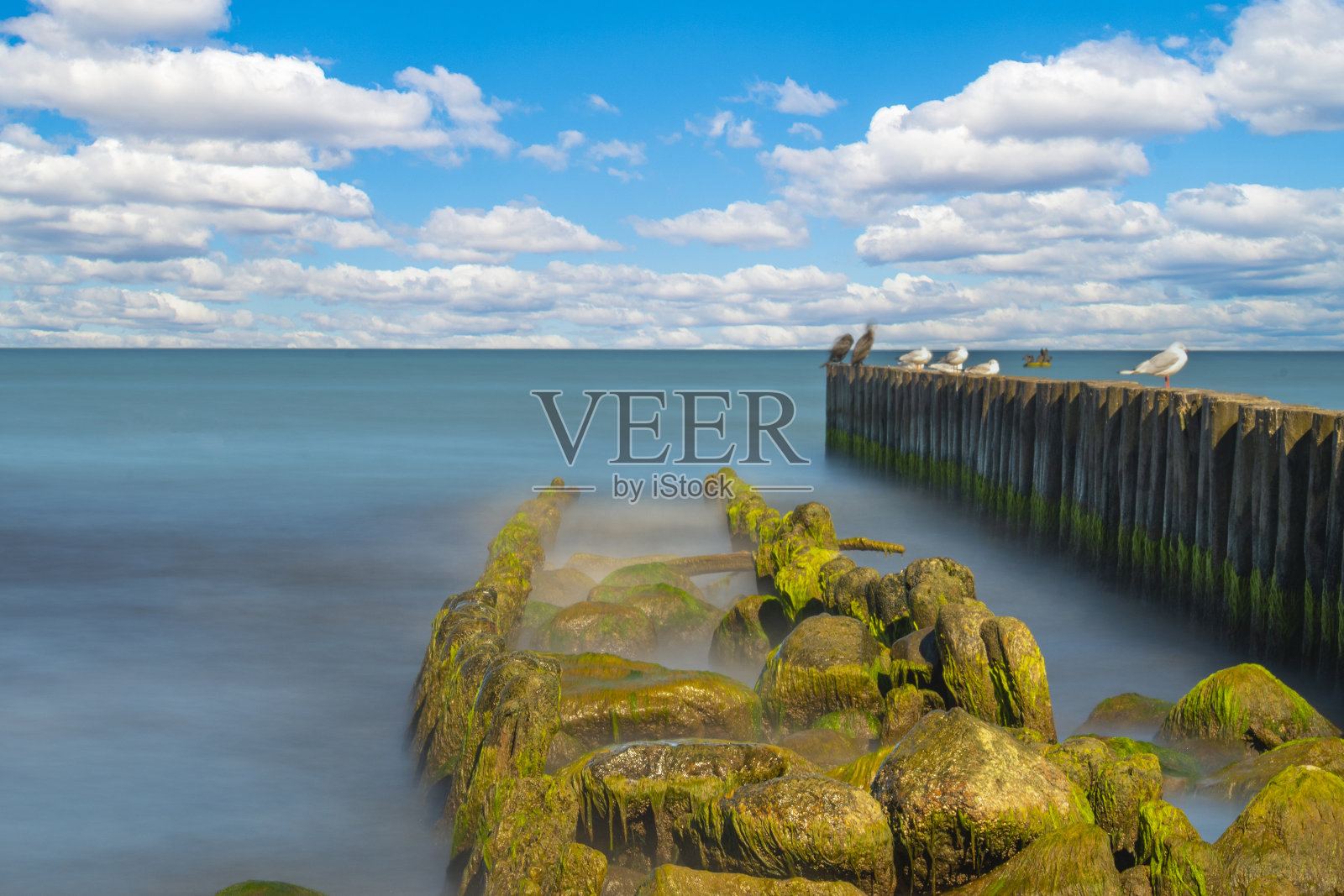 海鸥栖息在长满藻类的防波堤上。平静的大海在长时间的曝光上模糊了。照片摄影图片