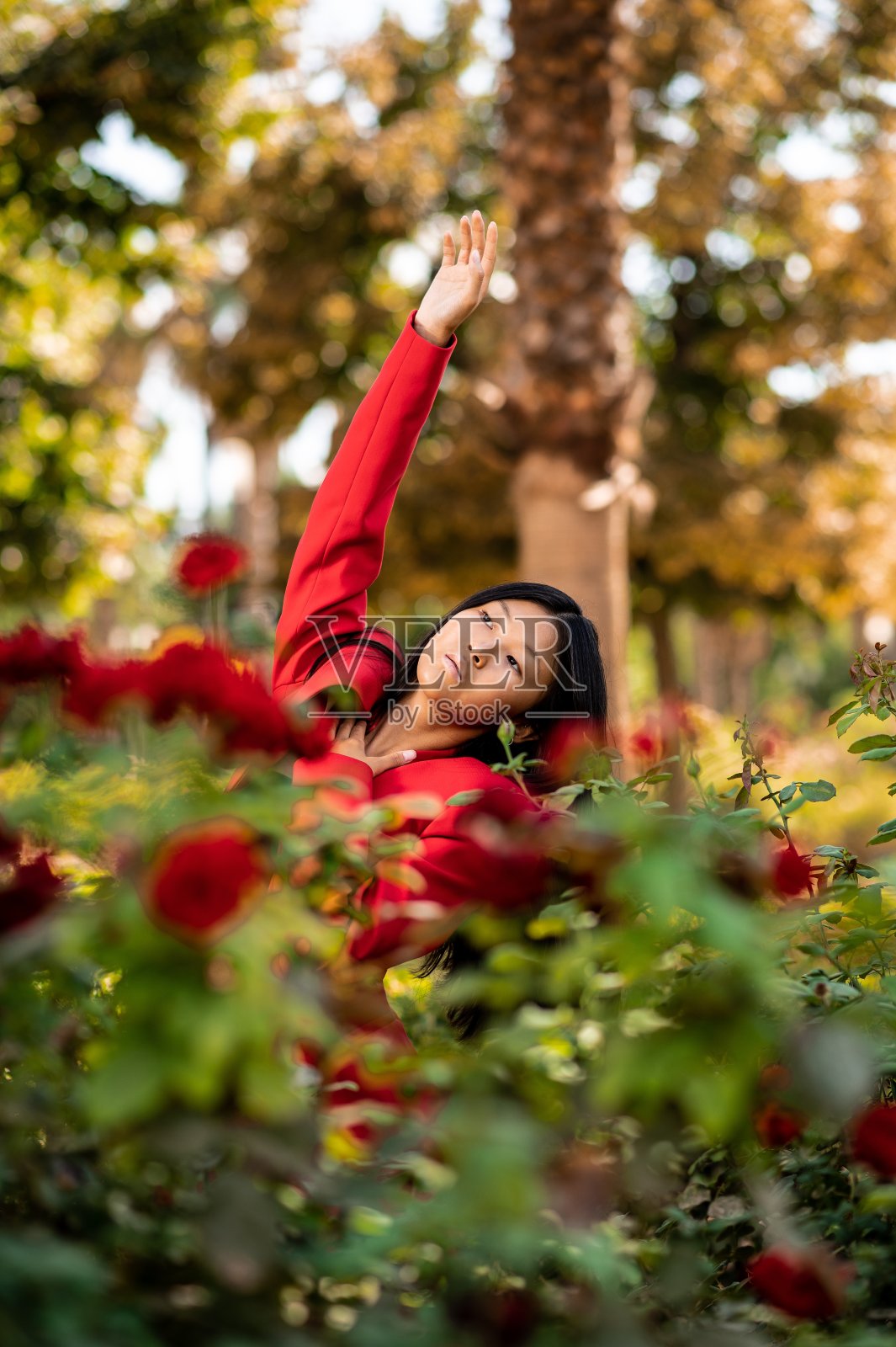 一位穿着红色套装的优雅东亚女子的肖像，在西班牙秋天的花园里摆姿势照片摄影图片