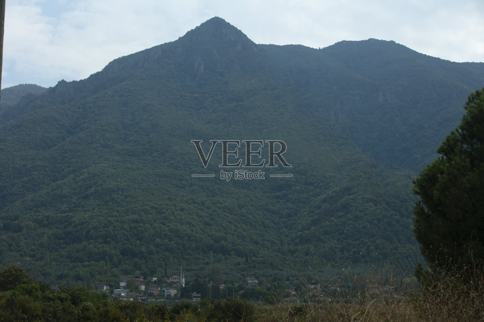 郁郁葱葱的青山照片摄影图片