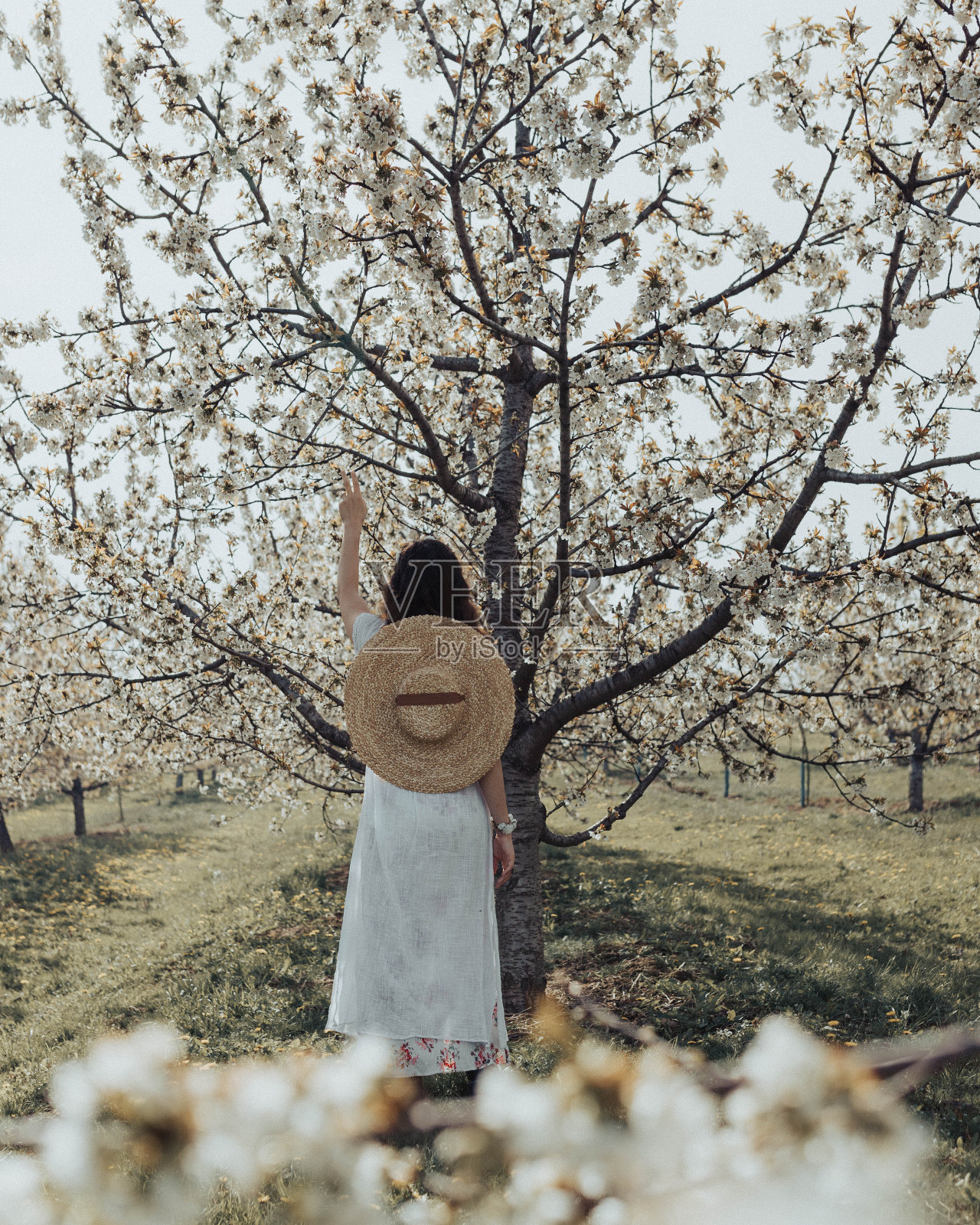 年轻的波斯尼亚女子戴着帽子在美丽的樱花花园里摆姿势照片摄影图片