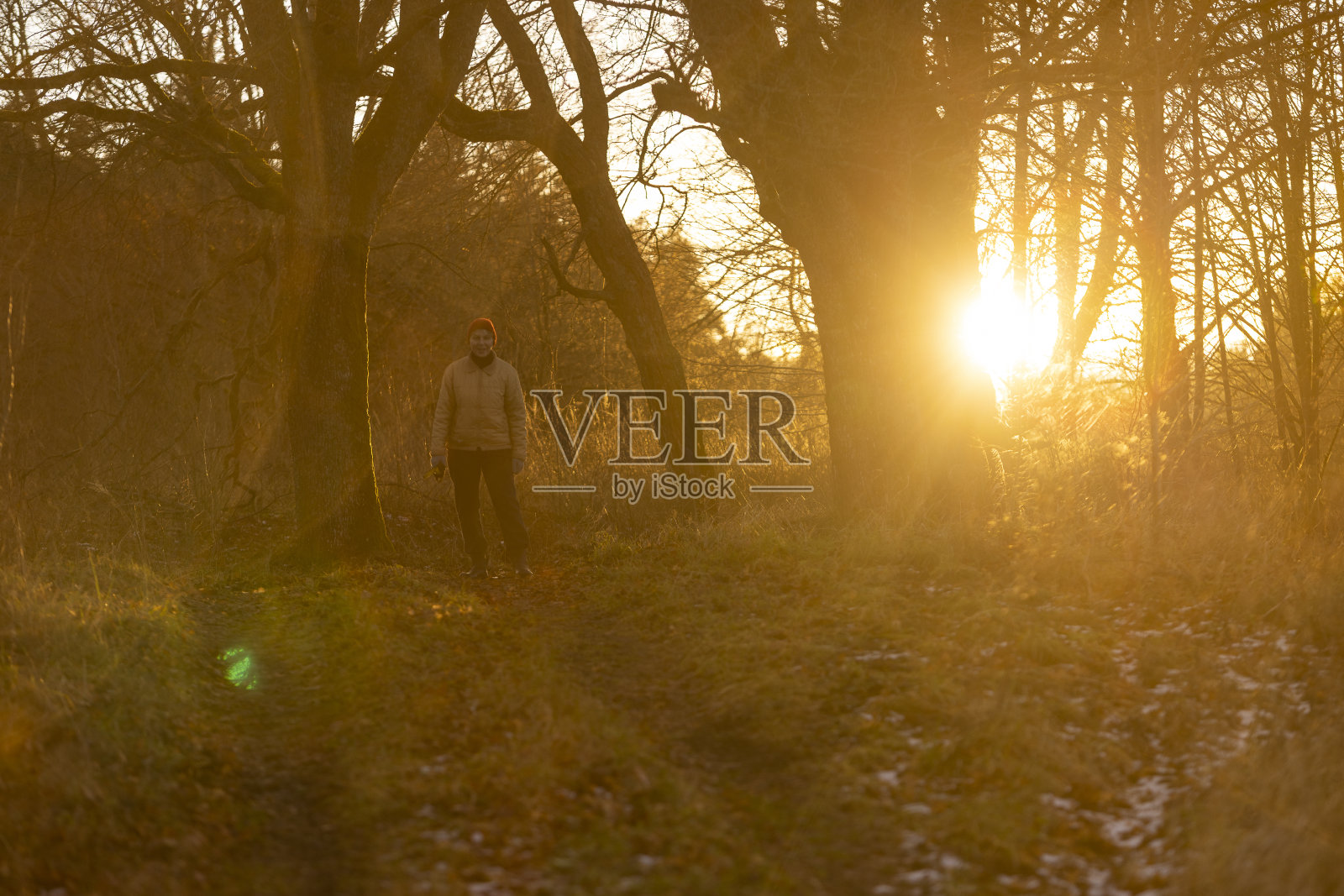 深秋日落时分在森林里远足。一个成熟的女人走在乡间小路上。背光和极端的镜头耀斑对太阳的艺术拍摄。照片摄影图片